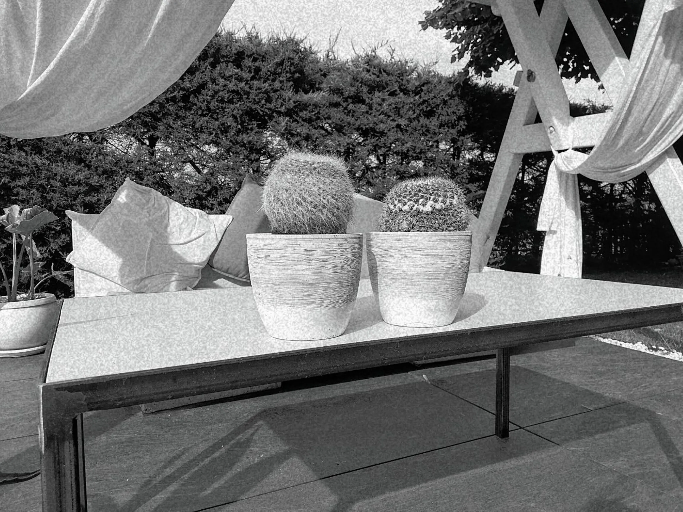 Area and facilities in B&B Flavio e Catia