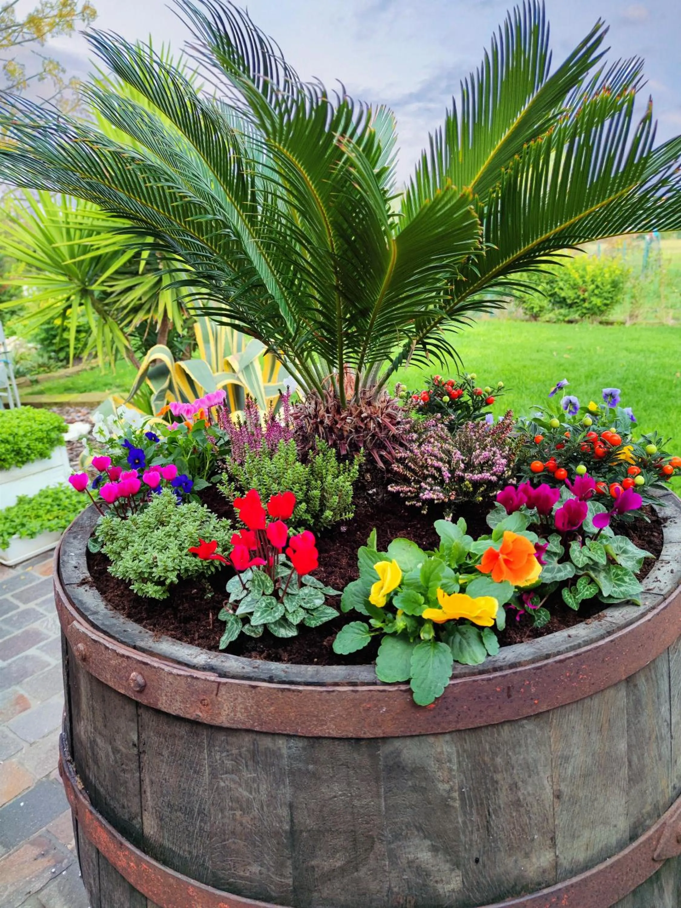 Garden in B&B Flavio e Catia