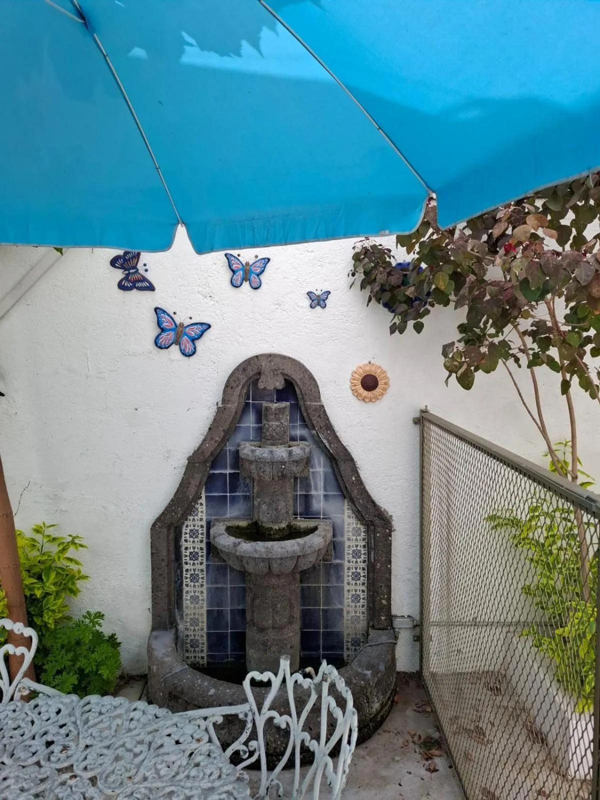 Garden in Milenio III B&B