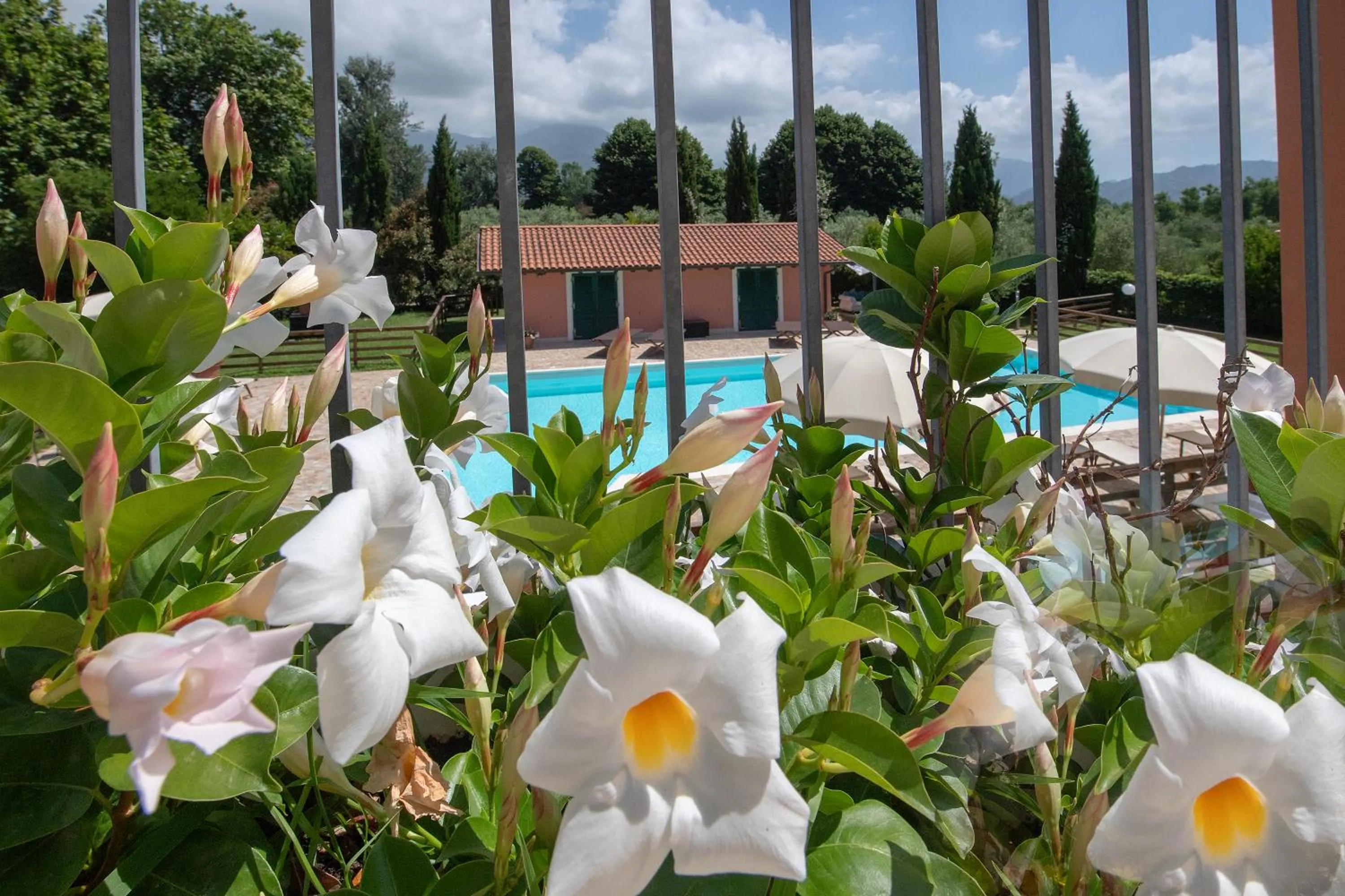 Pool view in Relais Villa Isabel