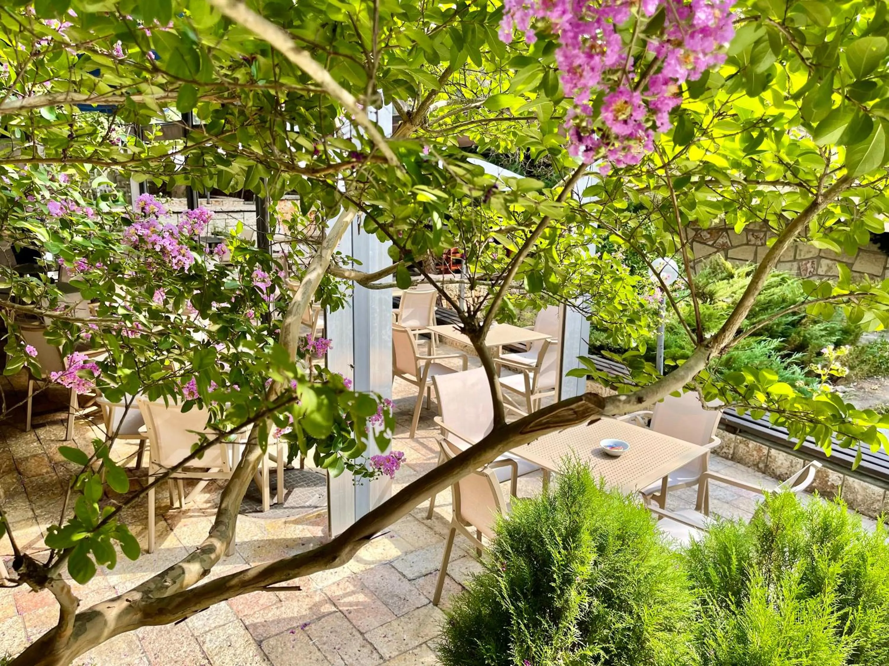 Garden in BSA Holiday Park Hotel - All Inclusive