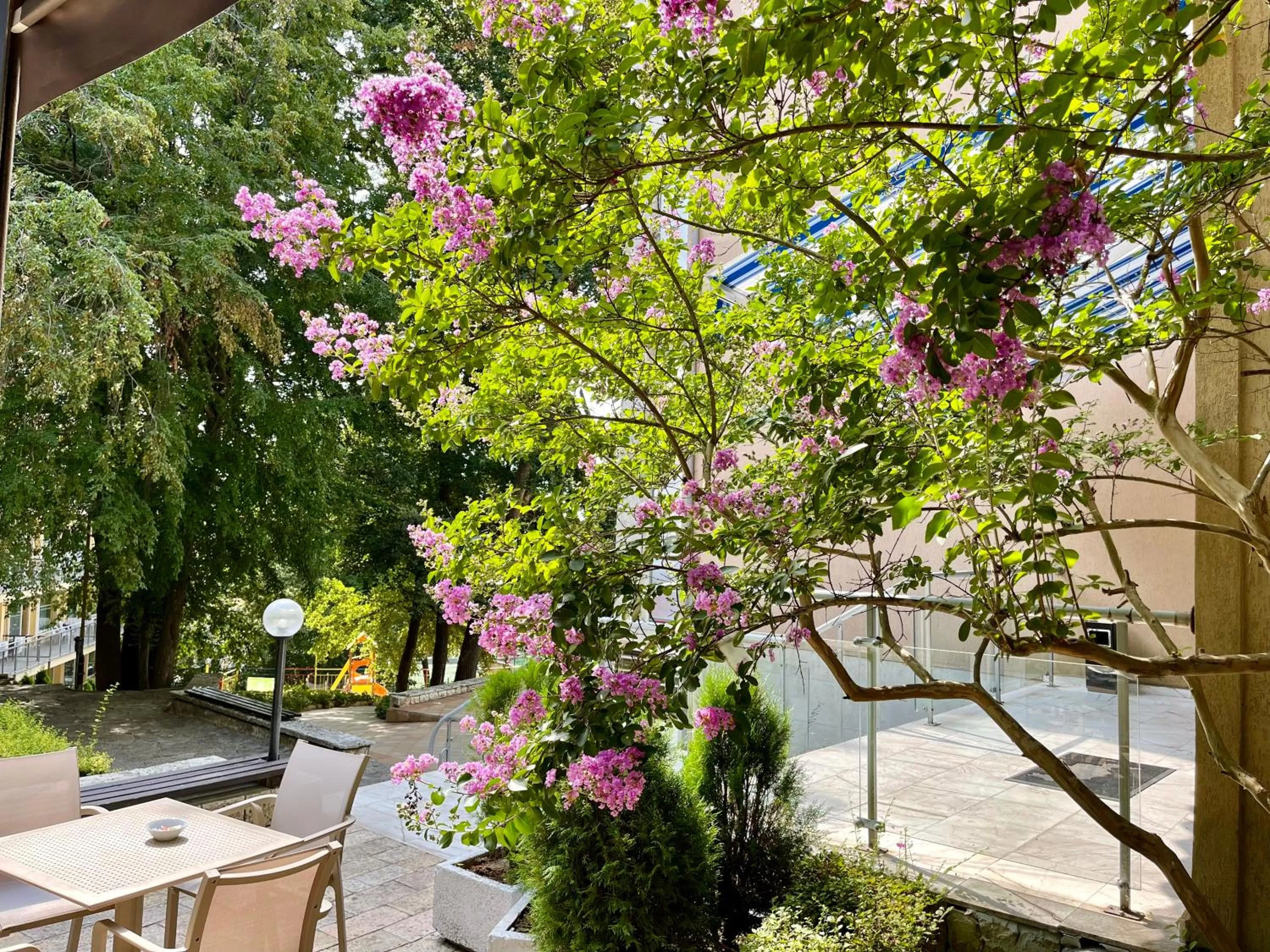Dining area in BSA Holiday Park Hotel - All Inclusive