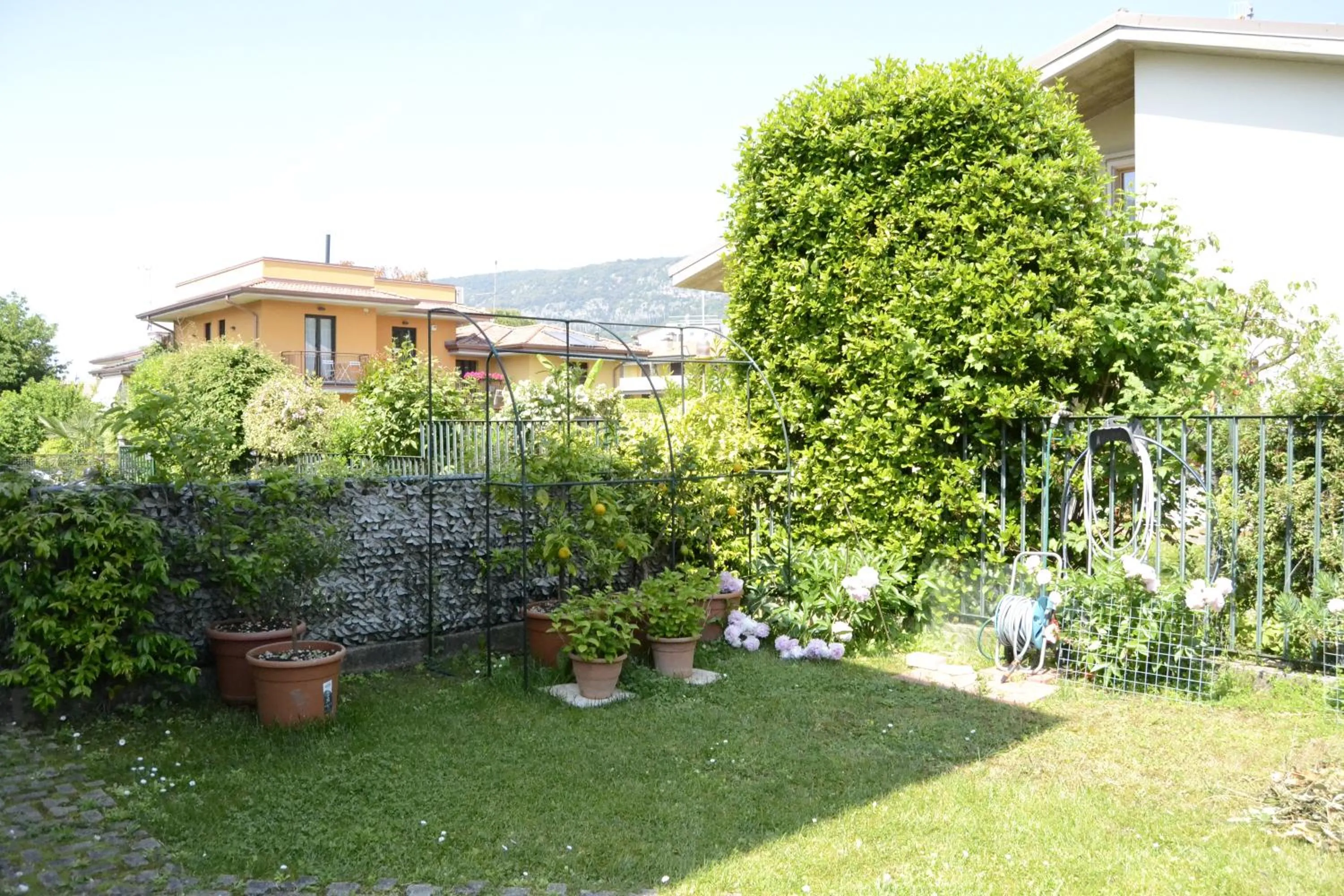 Garden in Il Sole e la Luna B&B in Garda