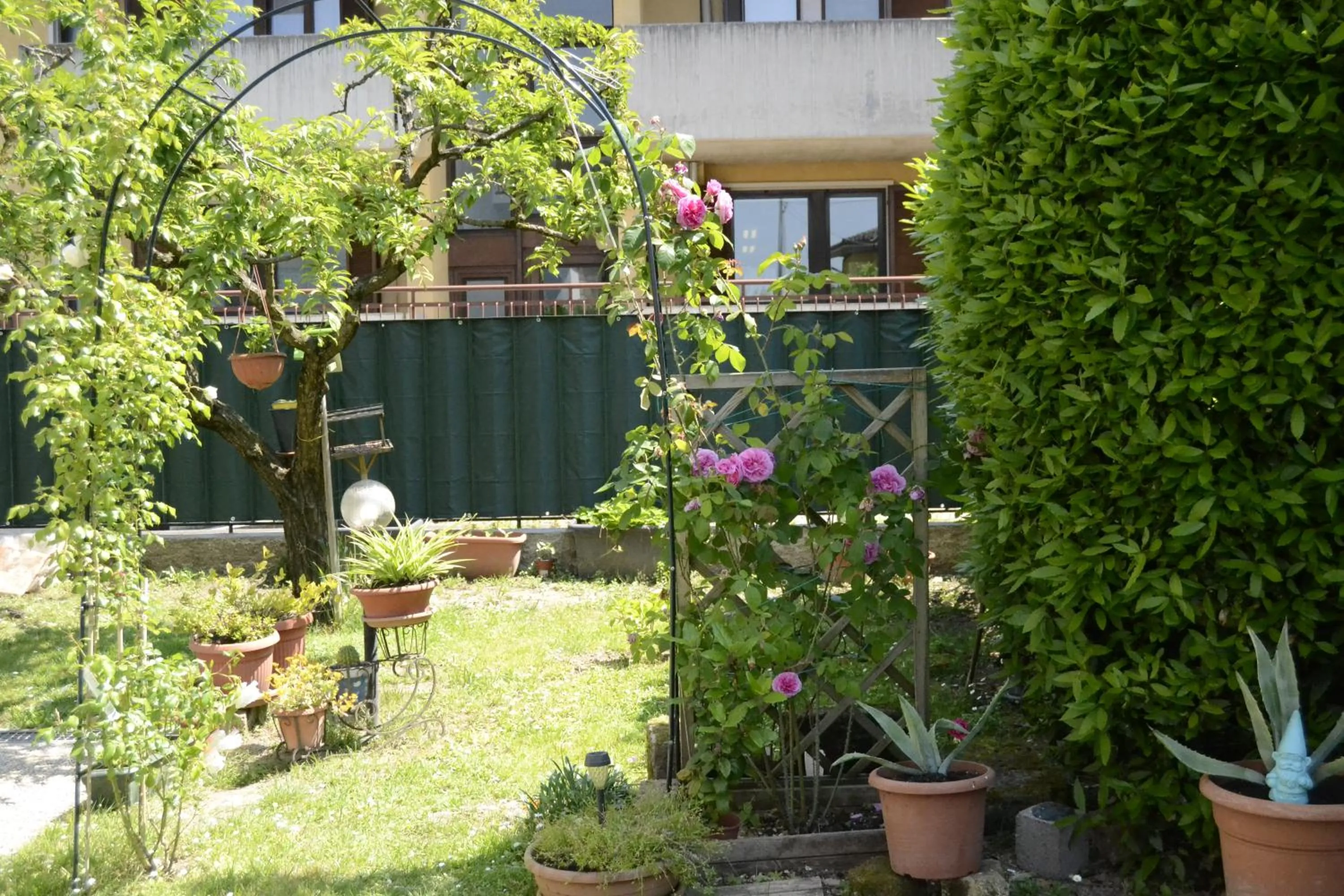 Garden in Il Sole e la Luna B&B in Garda