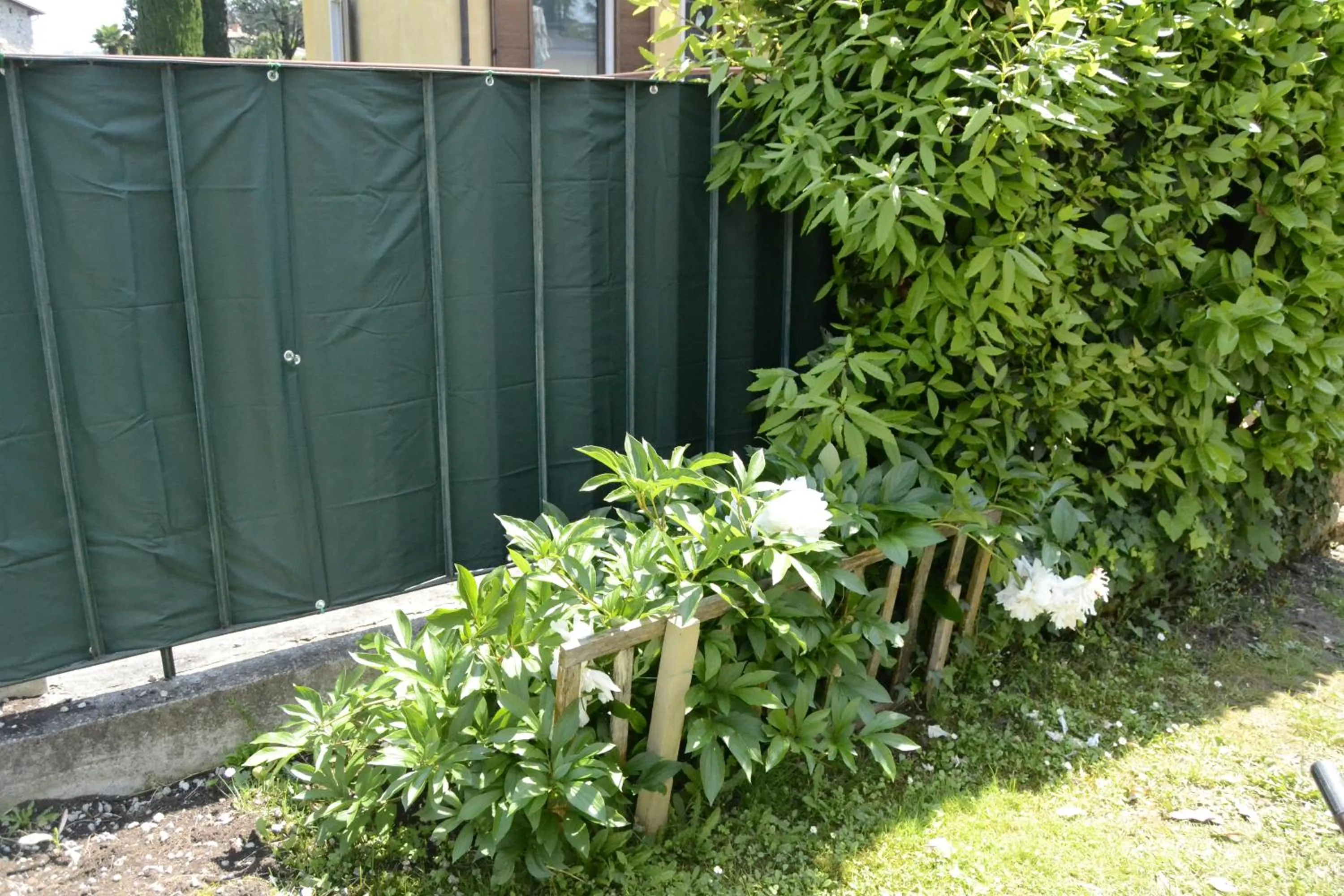 Garden in Il Sole e la Luna B&B in Garda