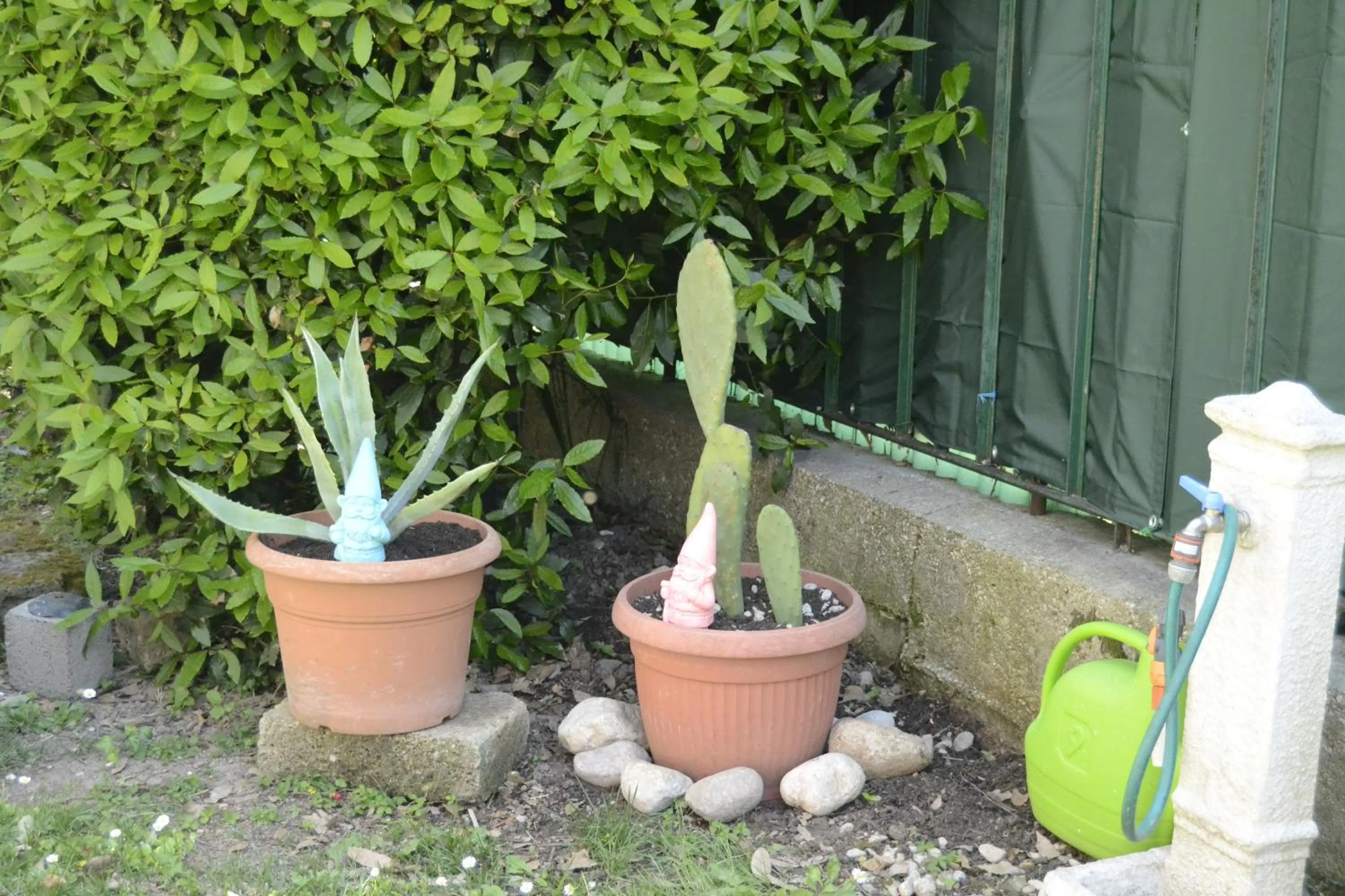 Garden in Il Sole e la Luna B&B in Garda