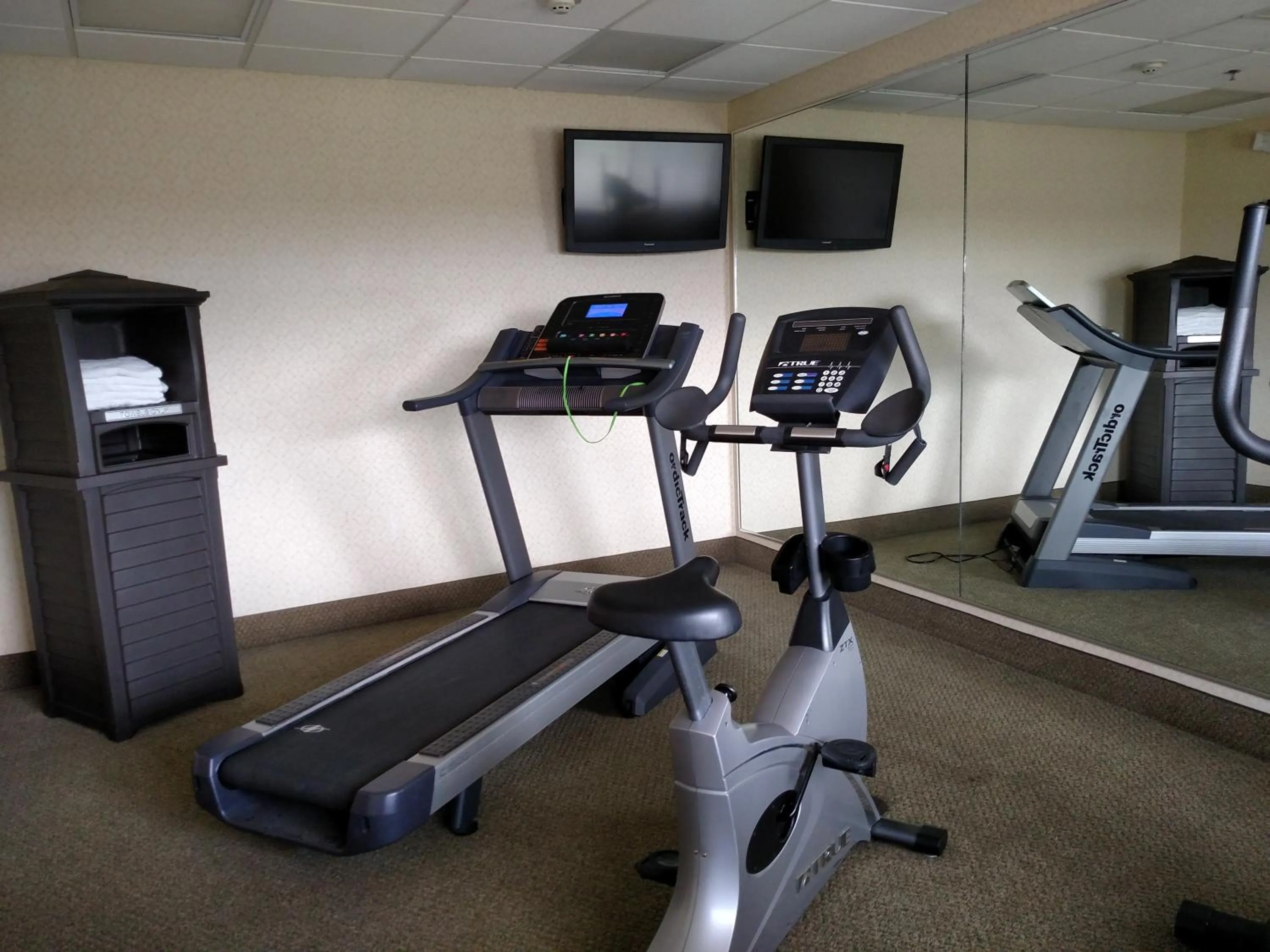 Fitness centre/facilities in Holiday Inn Express - Toledo West - Napoleon by IHG