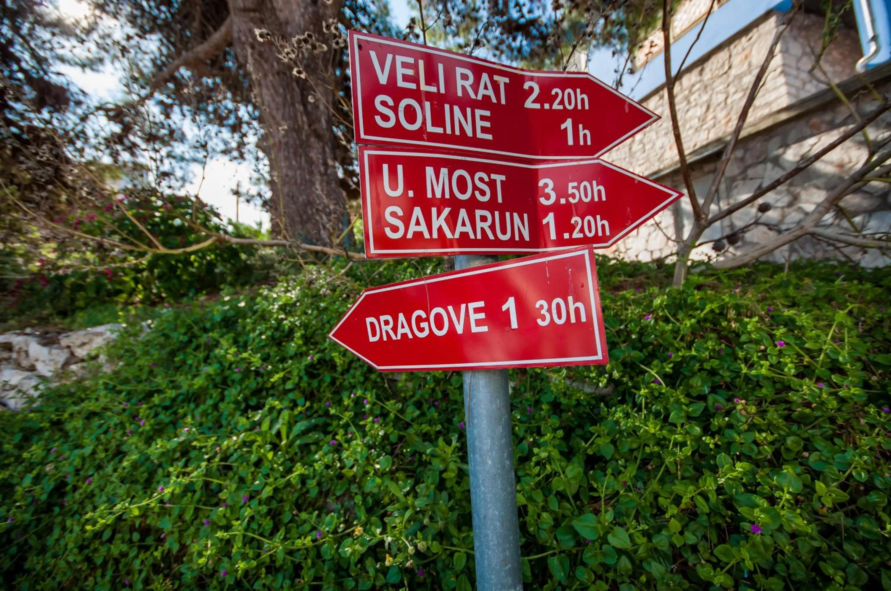 Hiking in Hotel Mirta