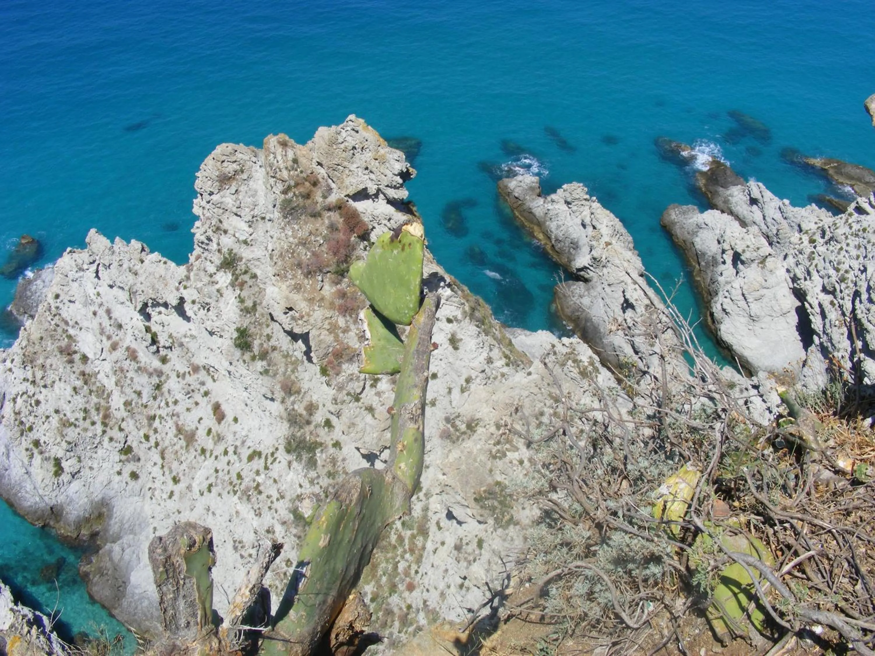 Area and facilities in C'era Una Volta