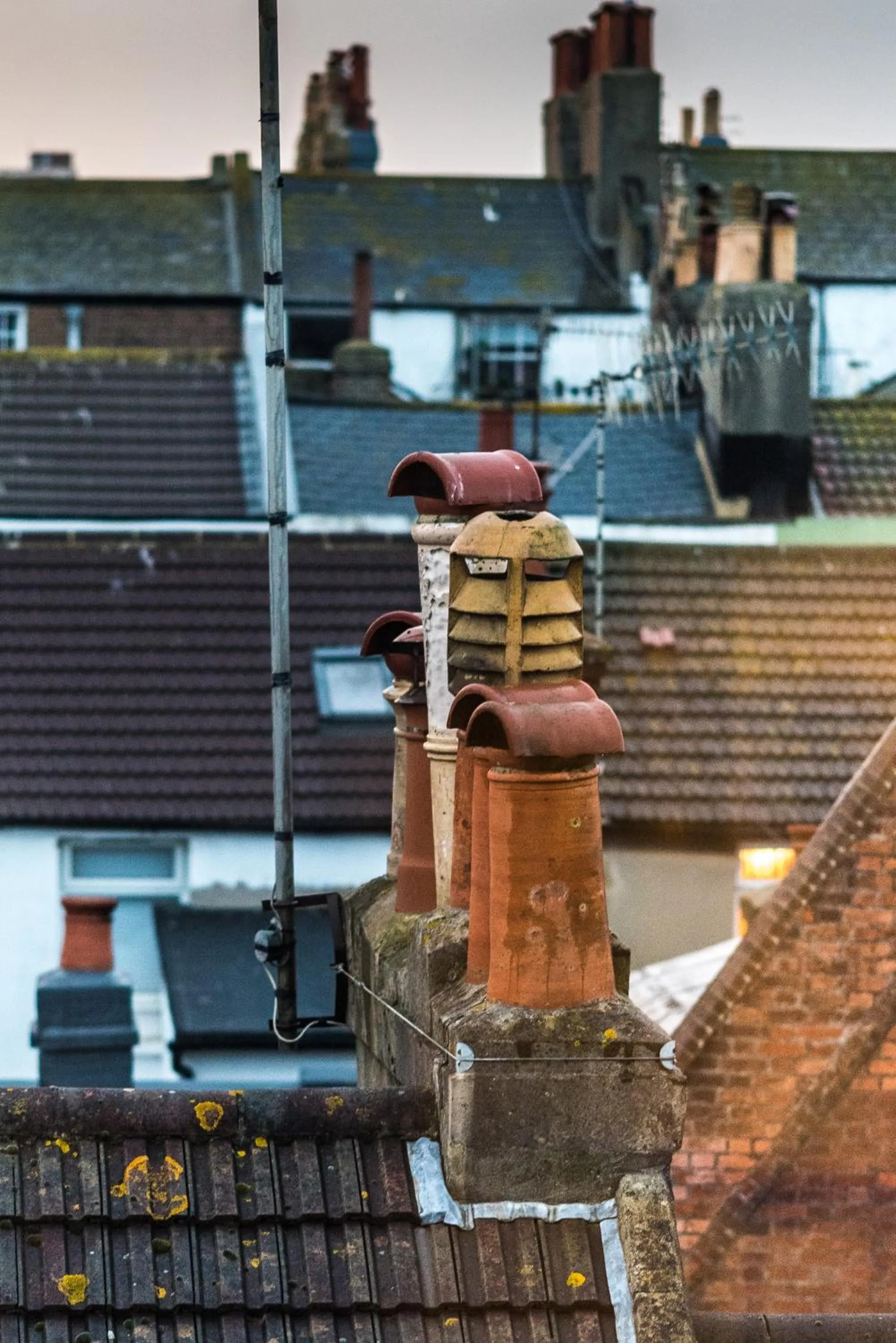 Other in Paskins Town House