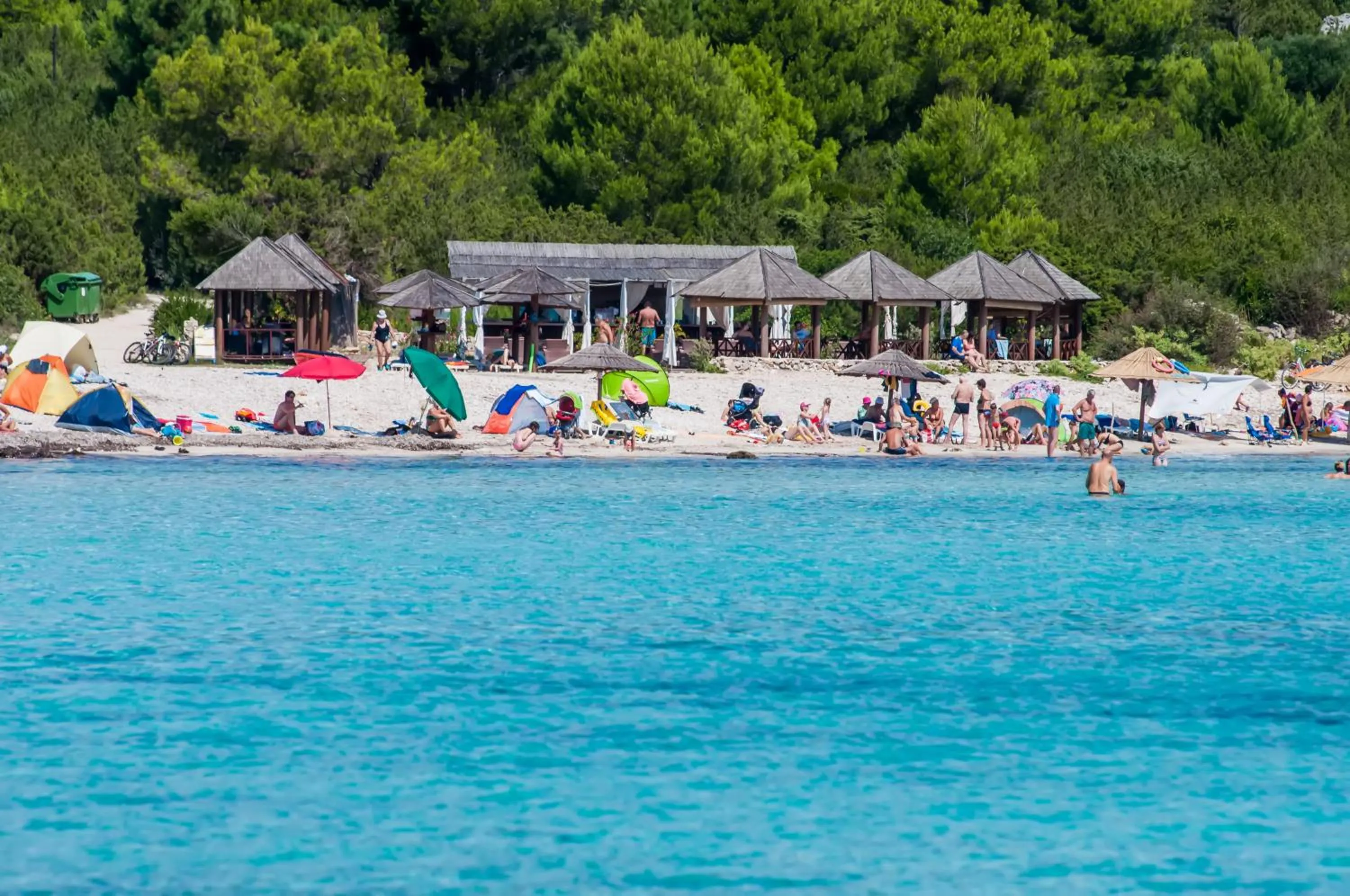 Lounge or bar in Hotel Agava