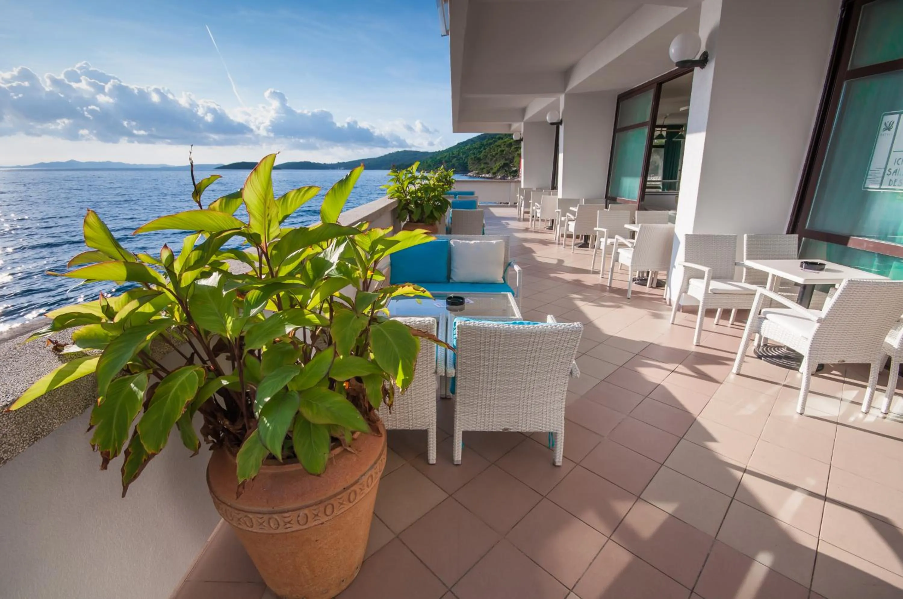 Lounge or bar in Hotel Agava