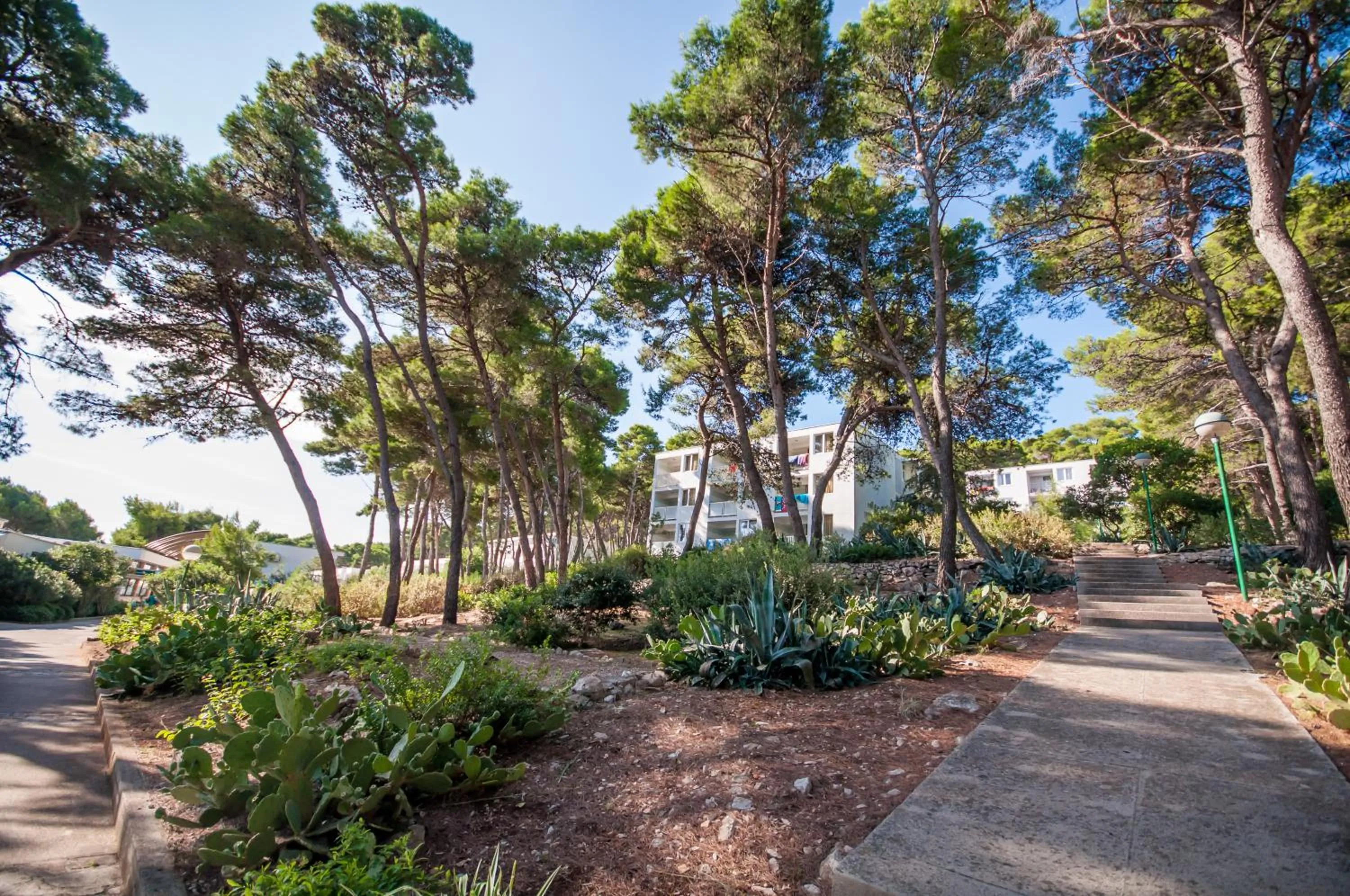 Hiking in Hotel Agava