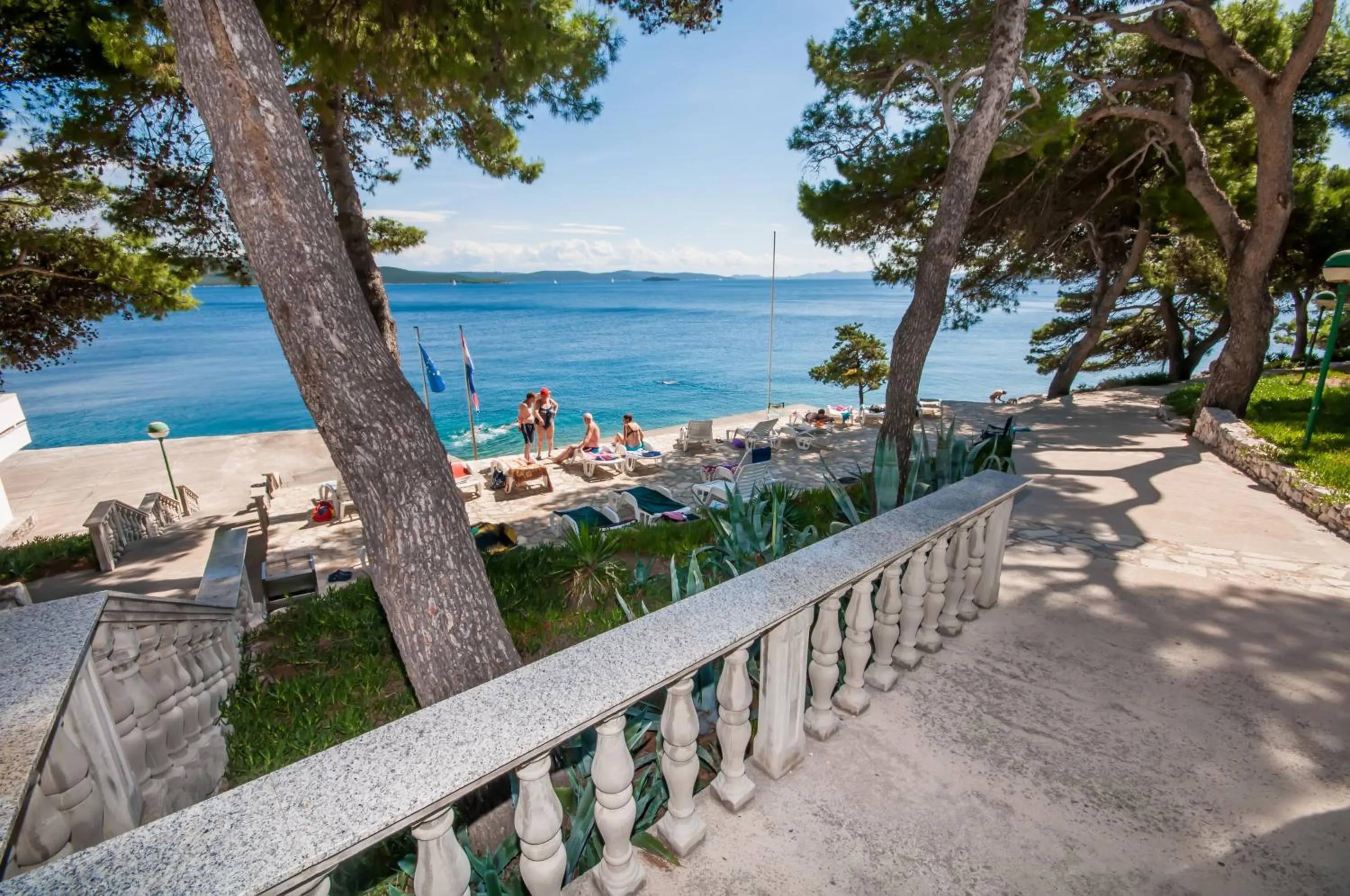 Area and facilities in Hotel Agava