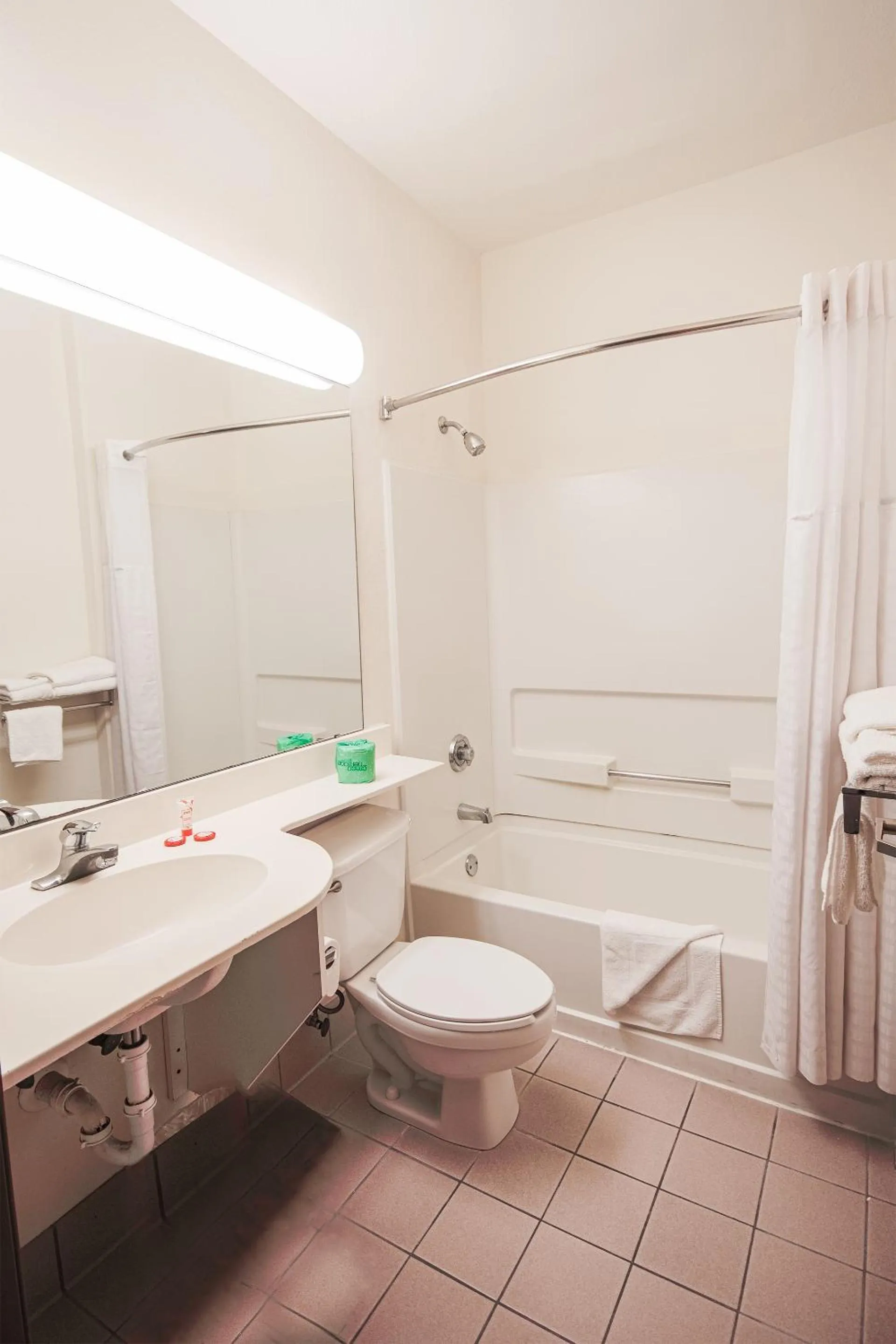 Bathroom in Econo Lodge Inn & Suites Mesquite - Dallas East