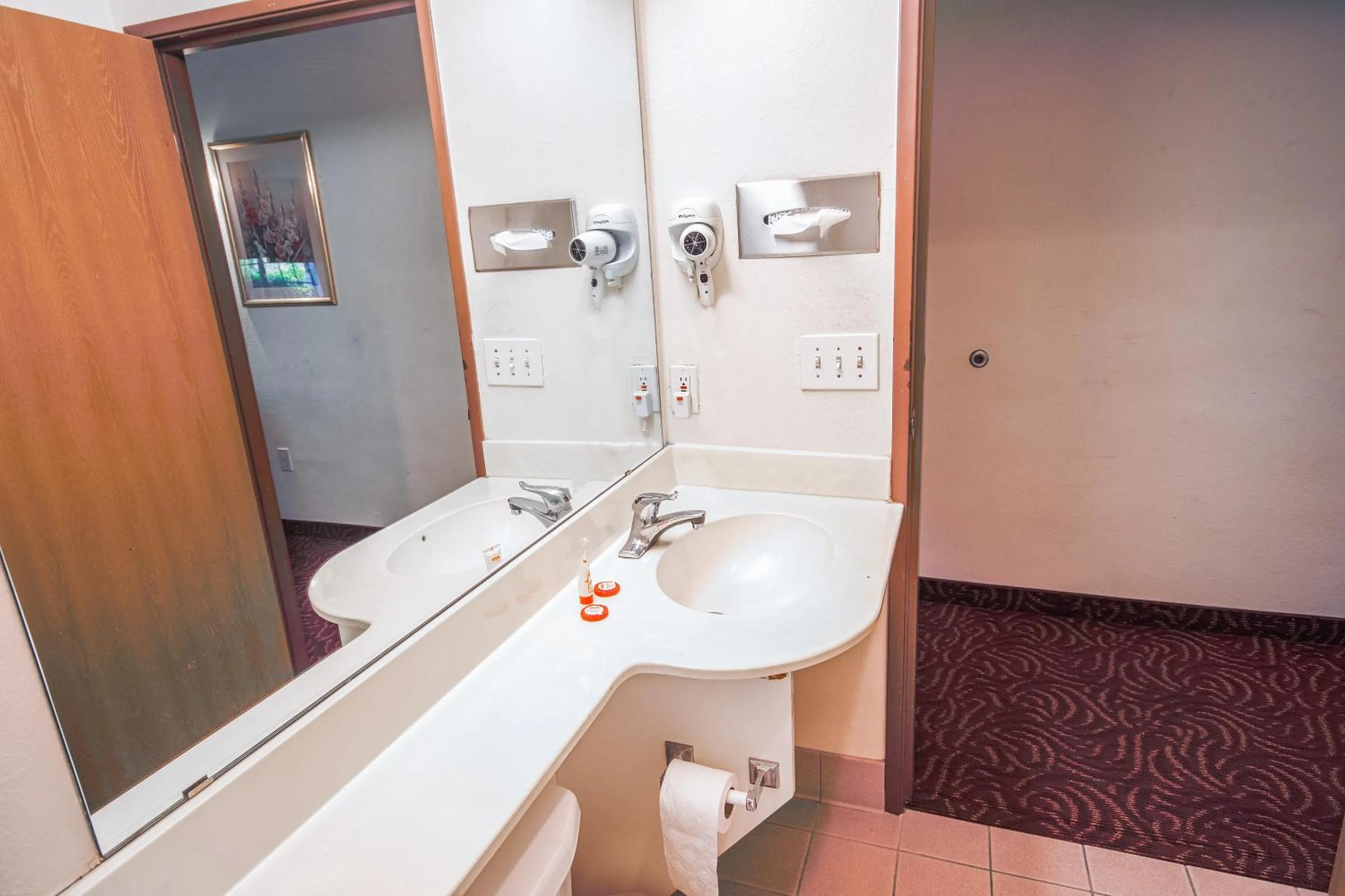 Bathroom in Econo Lodge Inn & Suites Mesquite - Dallas East