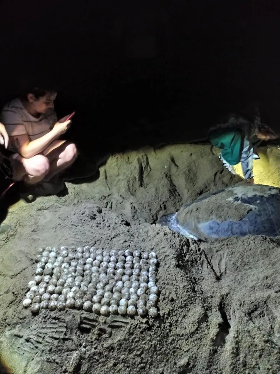 Property building in Robiu Homestay