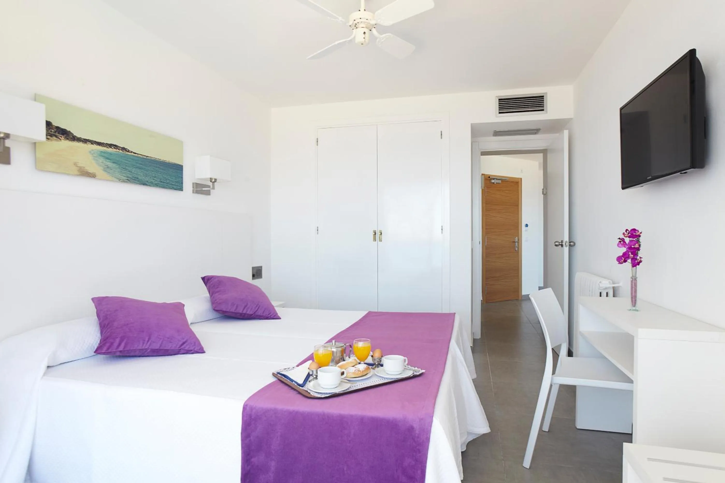 Photo of the whole room in Aparthotel Nereida