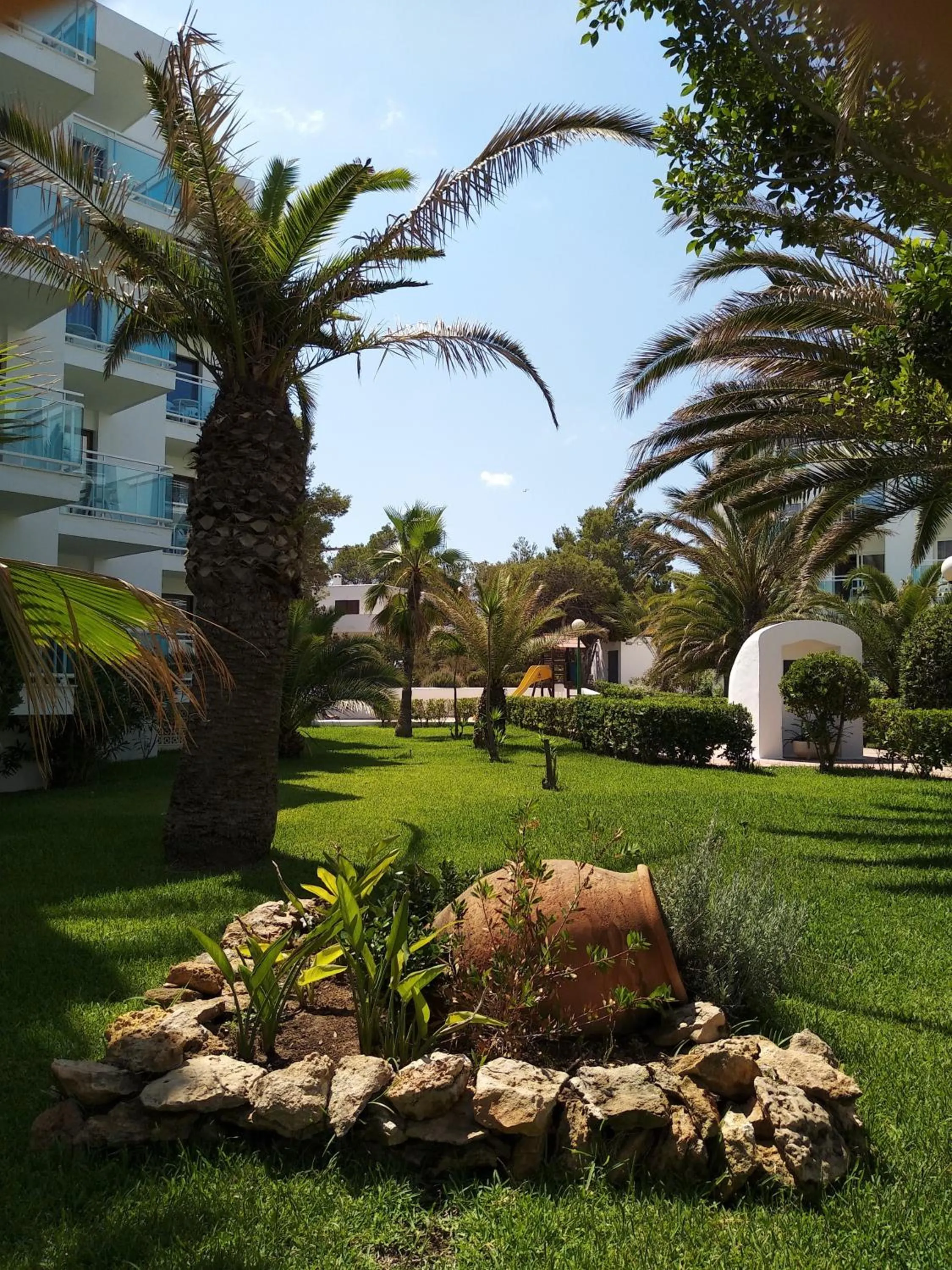 Garden in Aparthotel Nereida