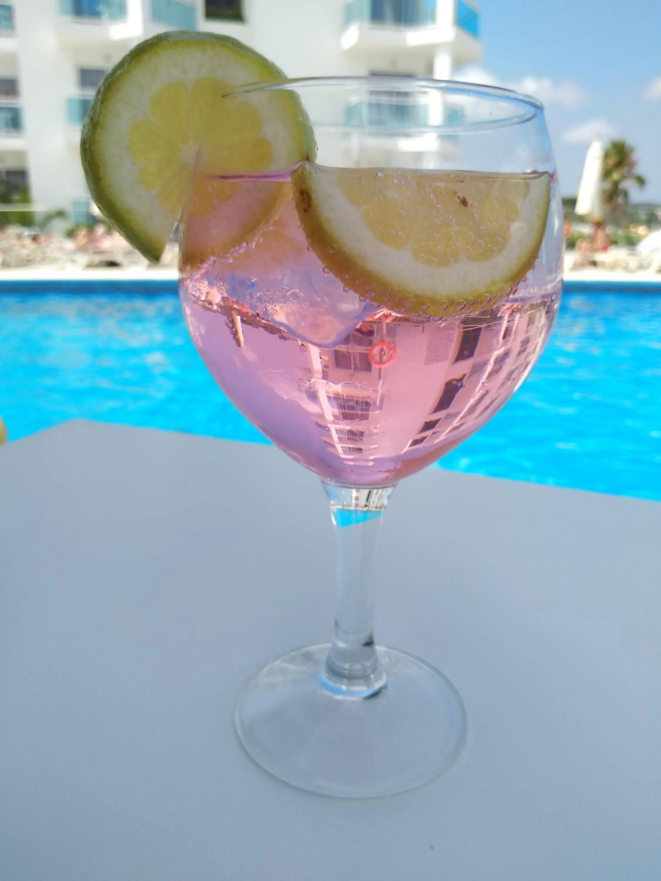 Alcoholic drinks in Aparthotel Nereida