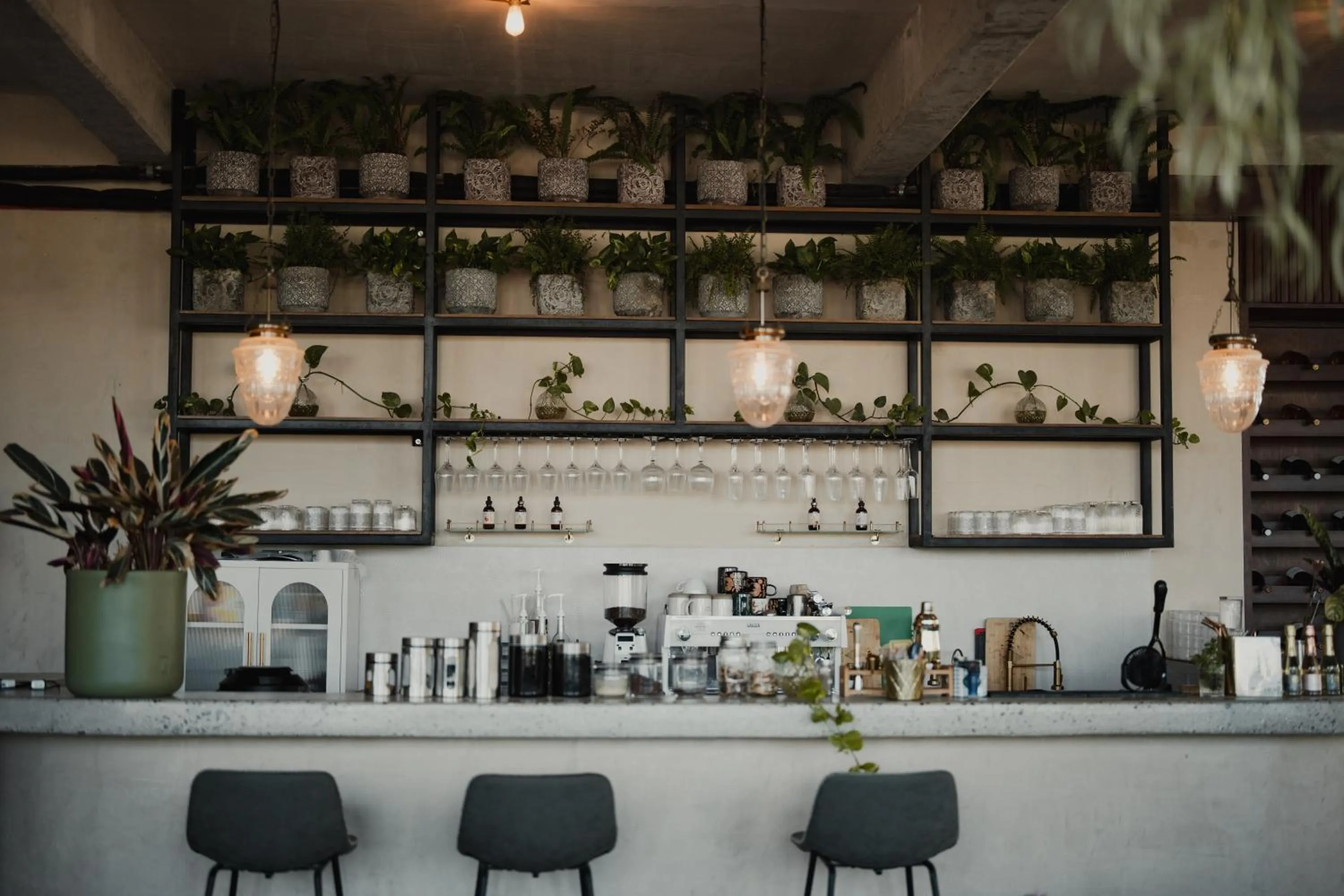 Restaurant/places to eat in Sunrock Hotel & Suites