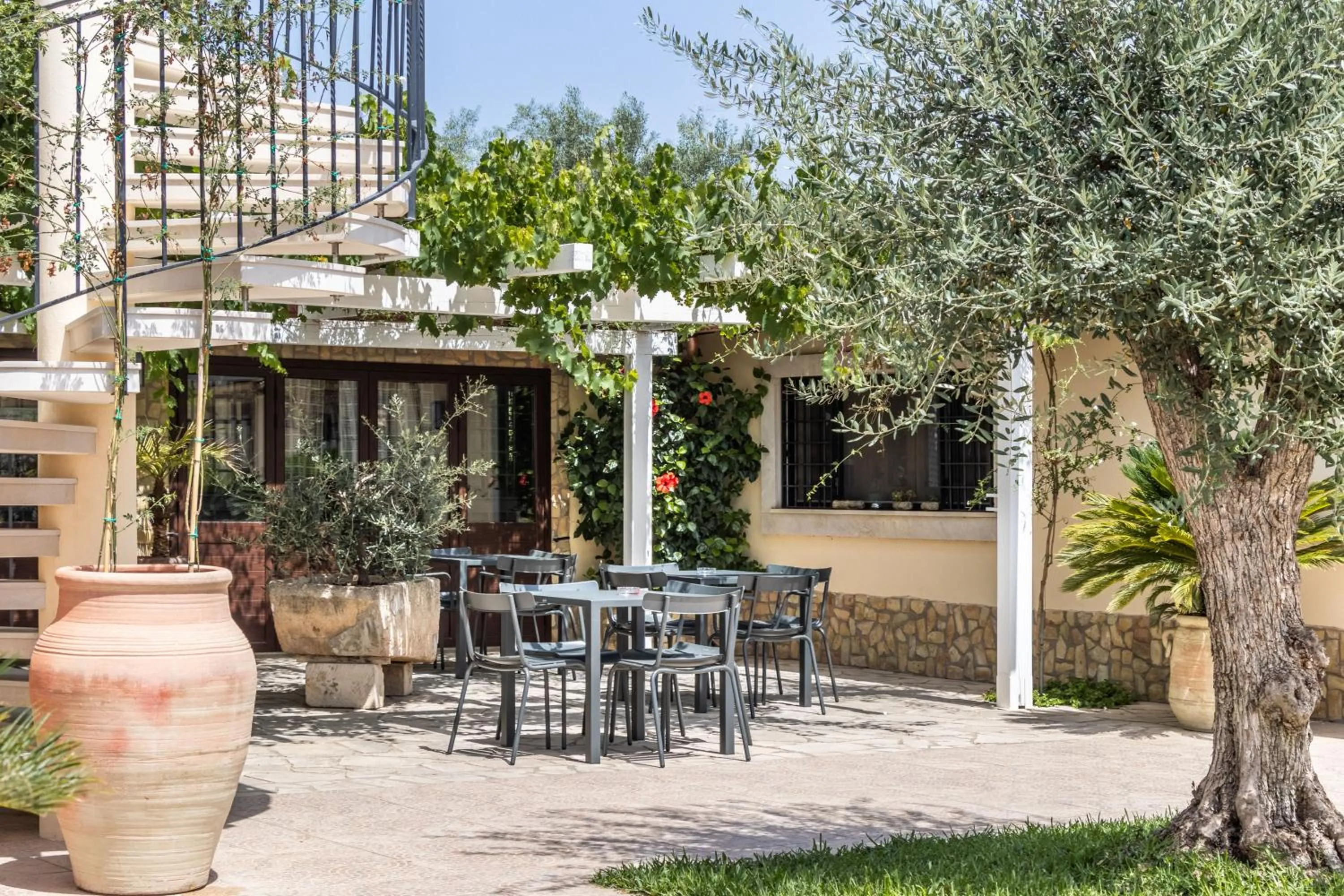 Patio in Villa Felicia