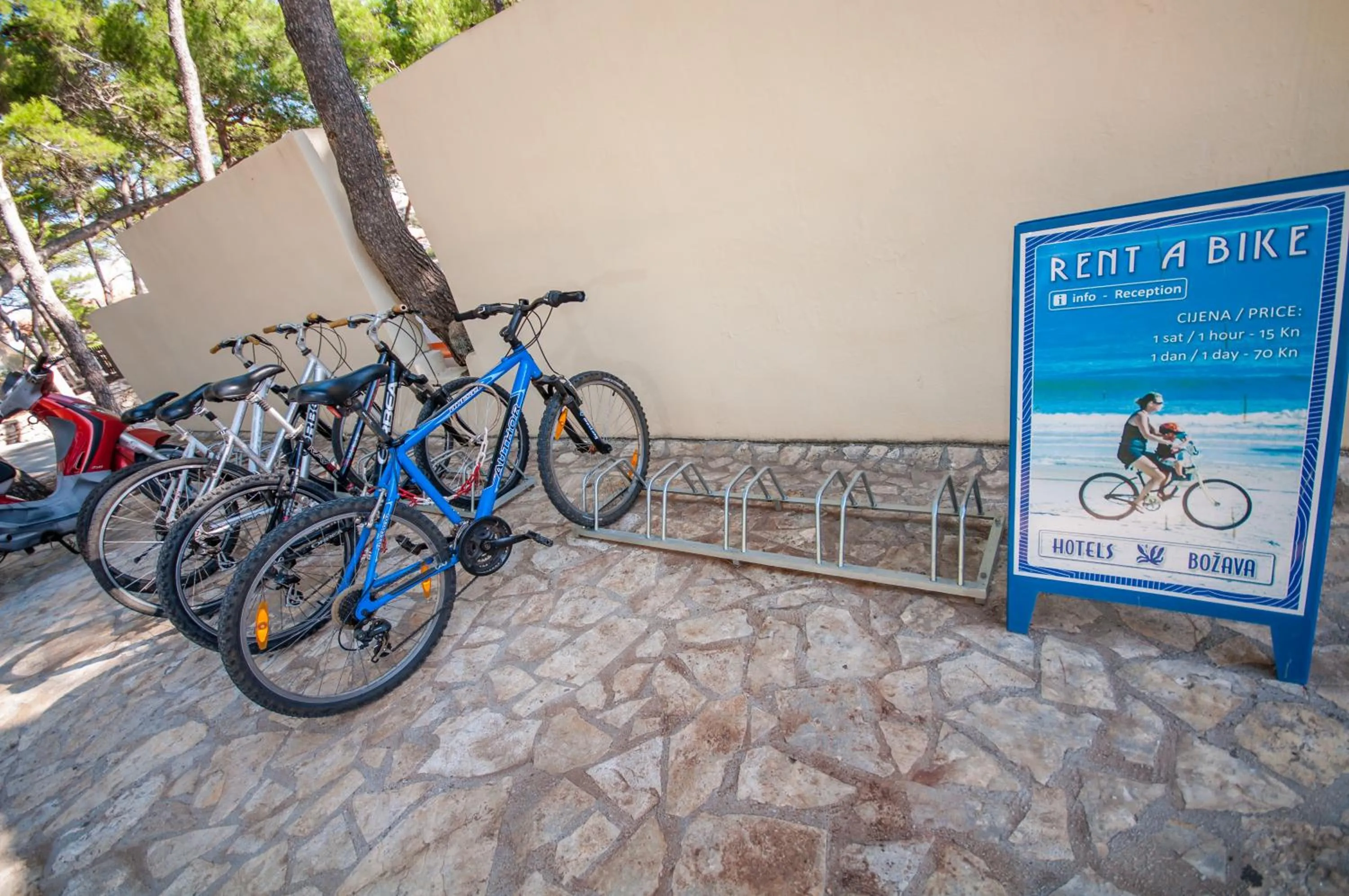 Cycling in Hotel Lavanda