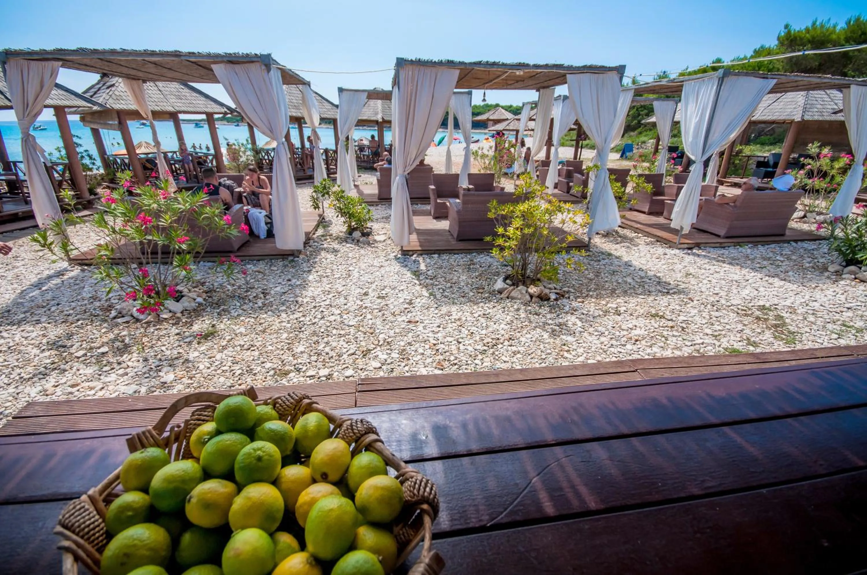 Area and facilities in Hotel Lavanda