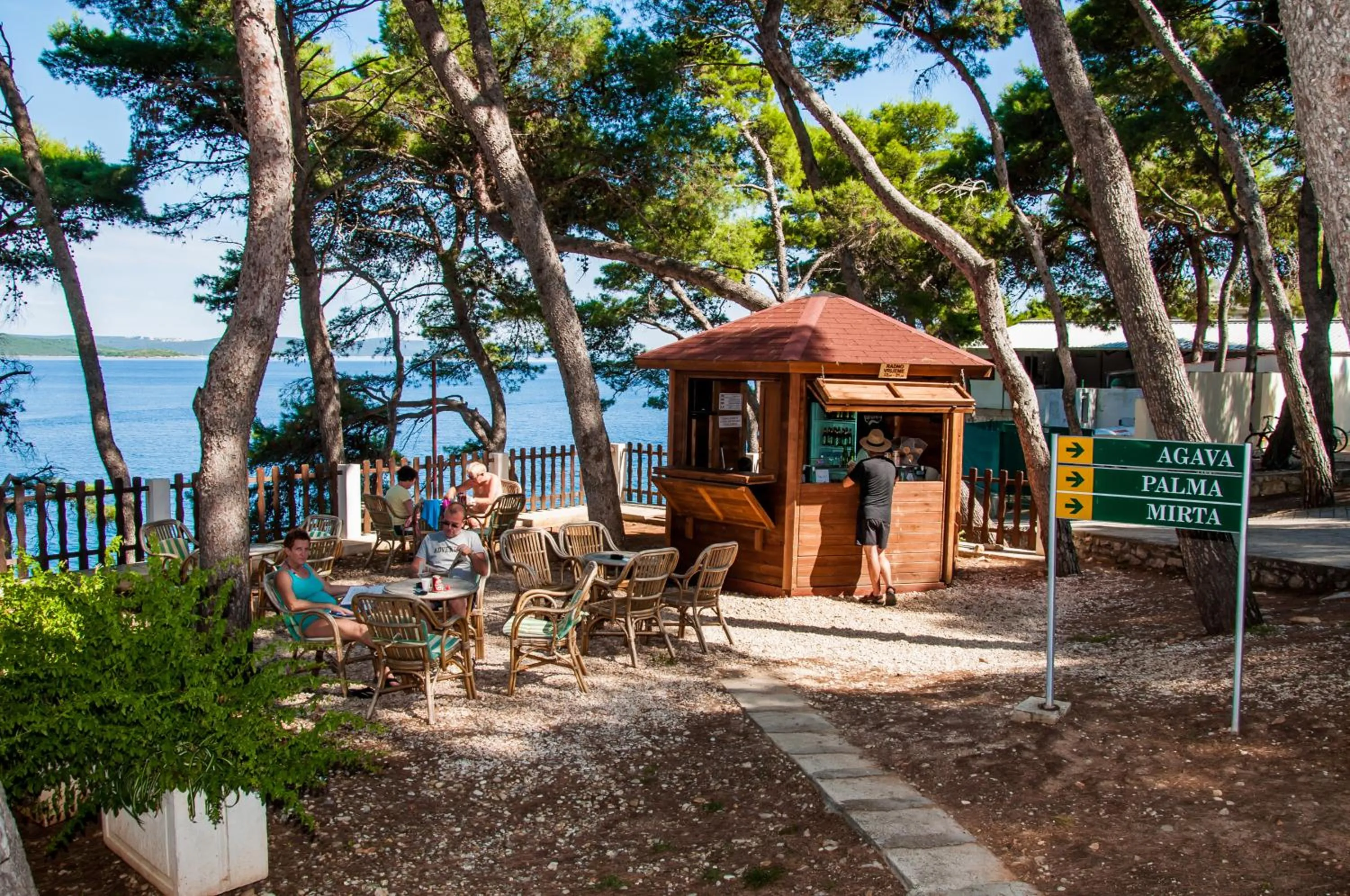 Area and facilities in Hotel Lavanda