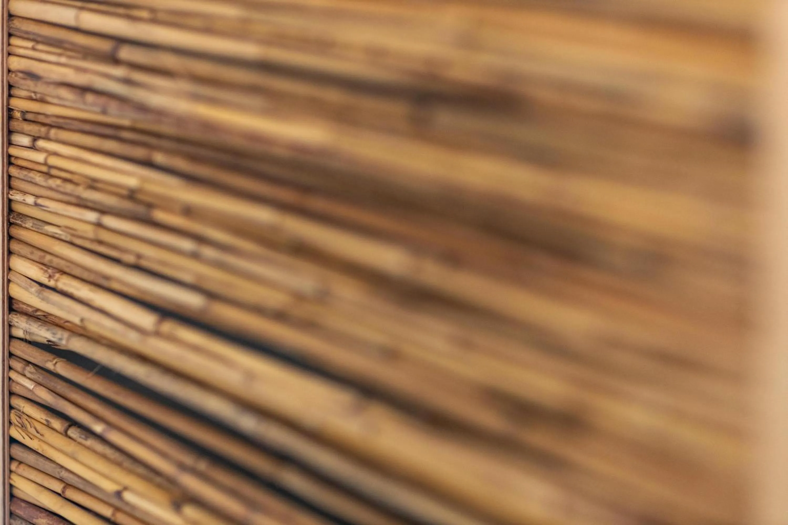 Decorative detail in Sandaya Luxury Suites