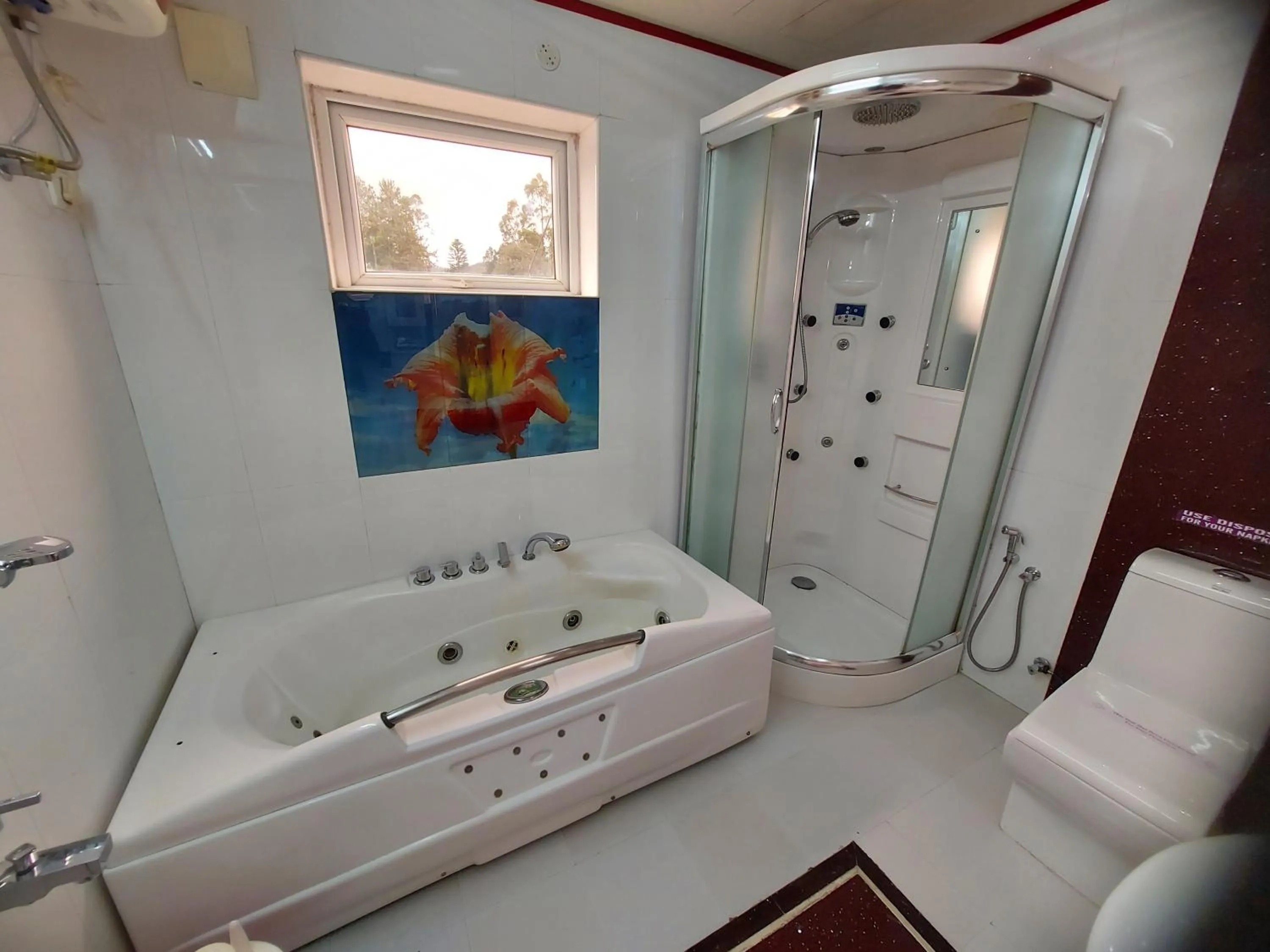 Shower in Astoria Residency