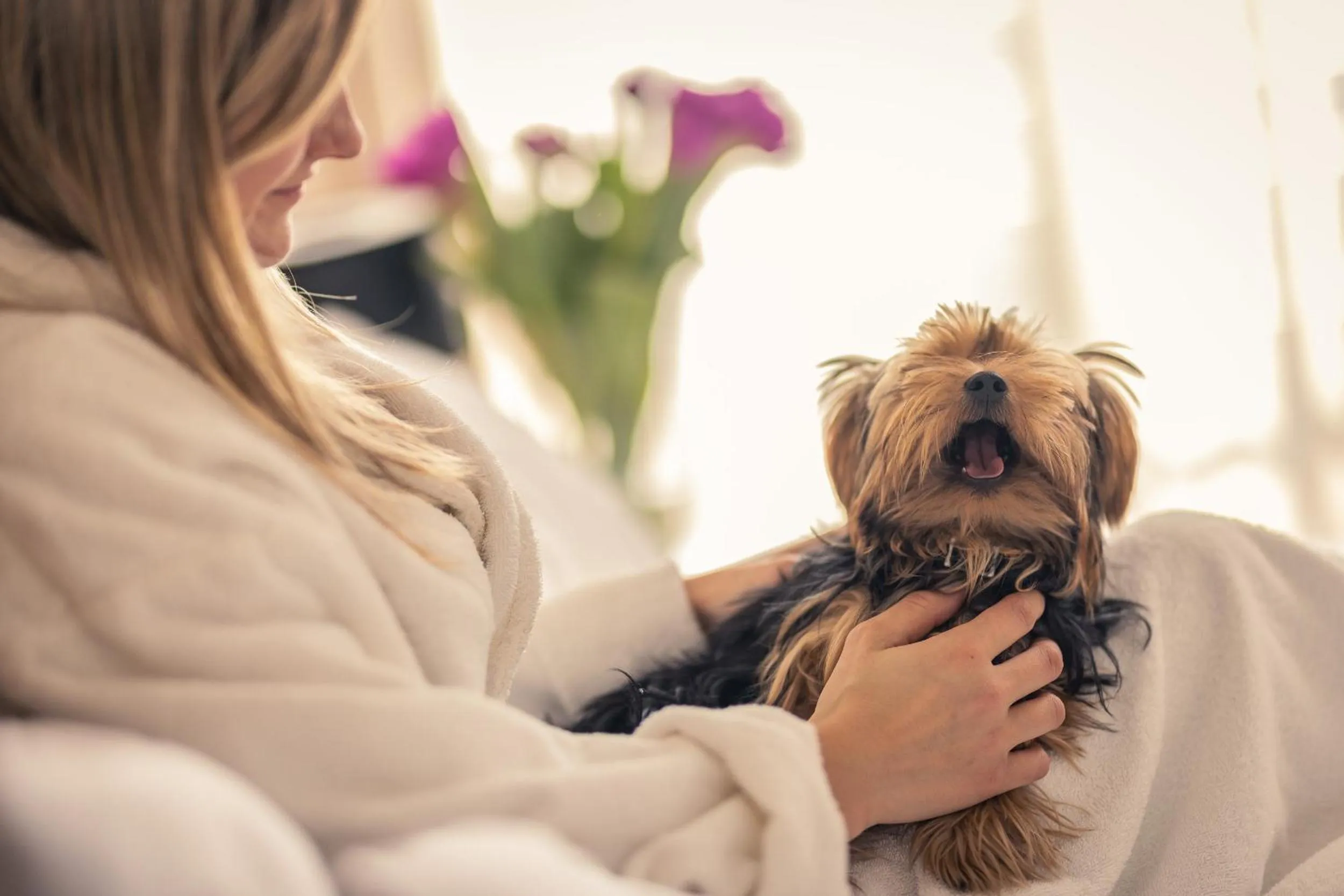 People in Mercure Wiazowna Brant