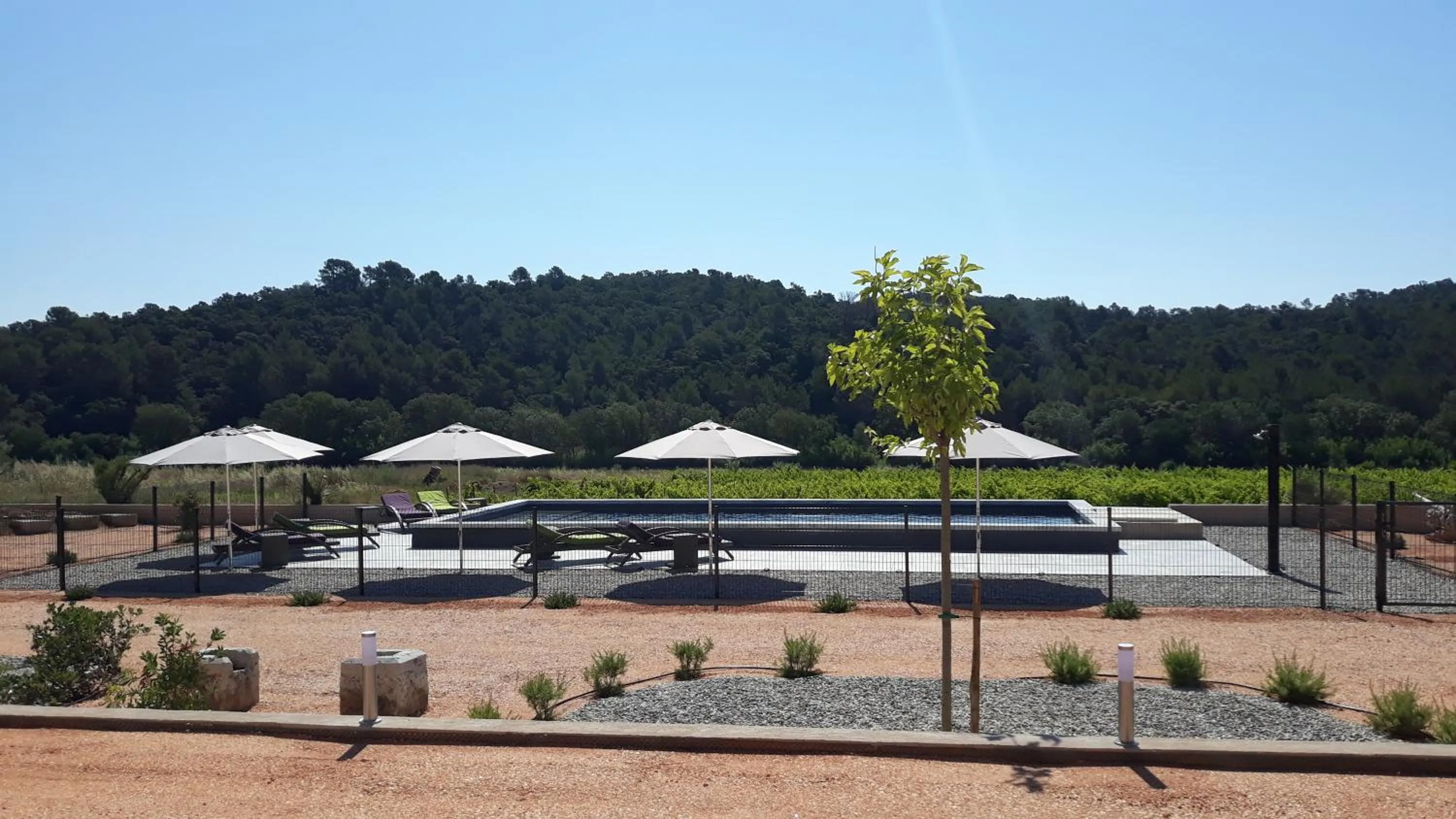 Swimming pool in Sous Les Pins gîtes et chambres d'hôtes