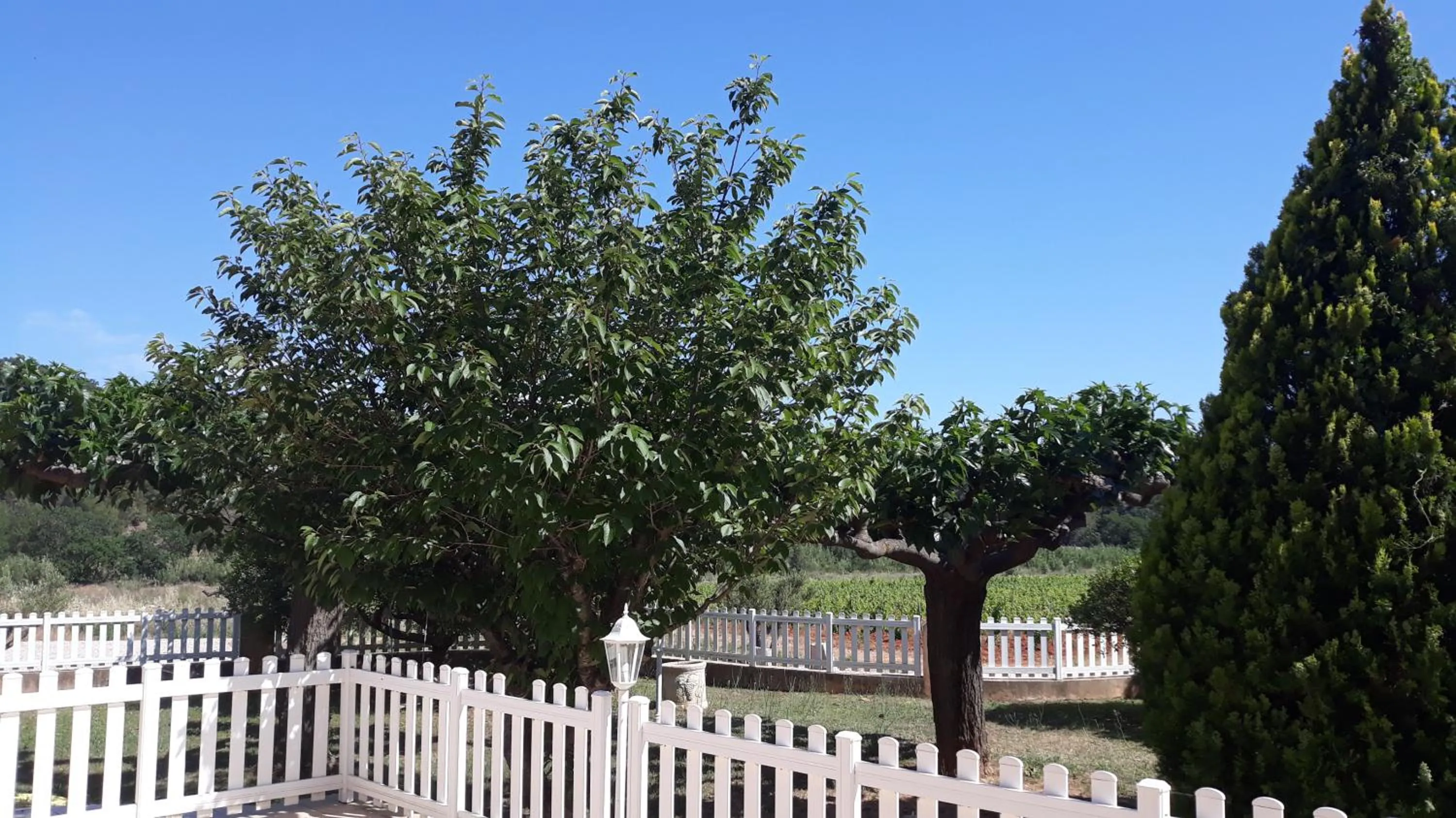 Garden in Sous Les Pins gîtes et chambres d'hôtes