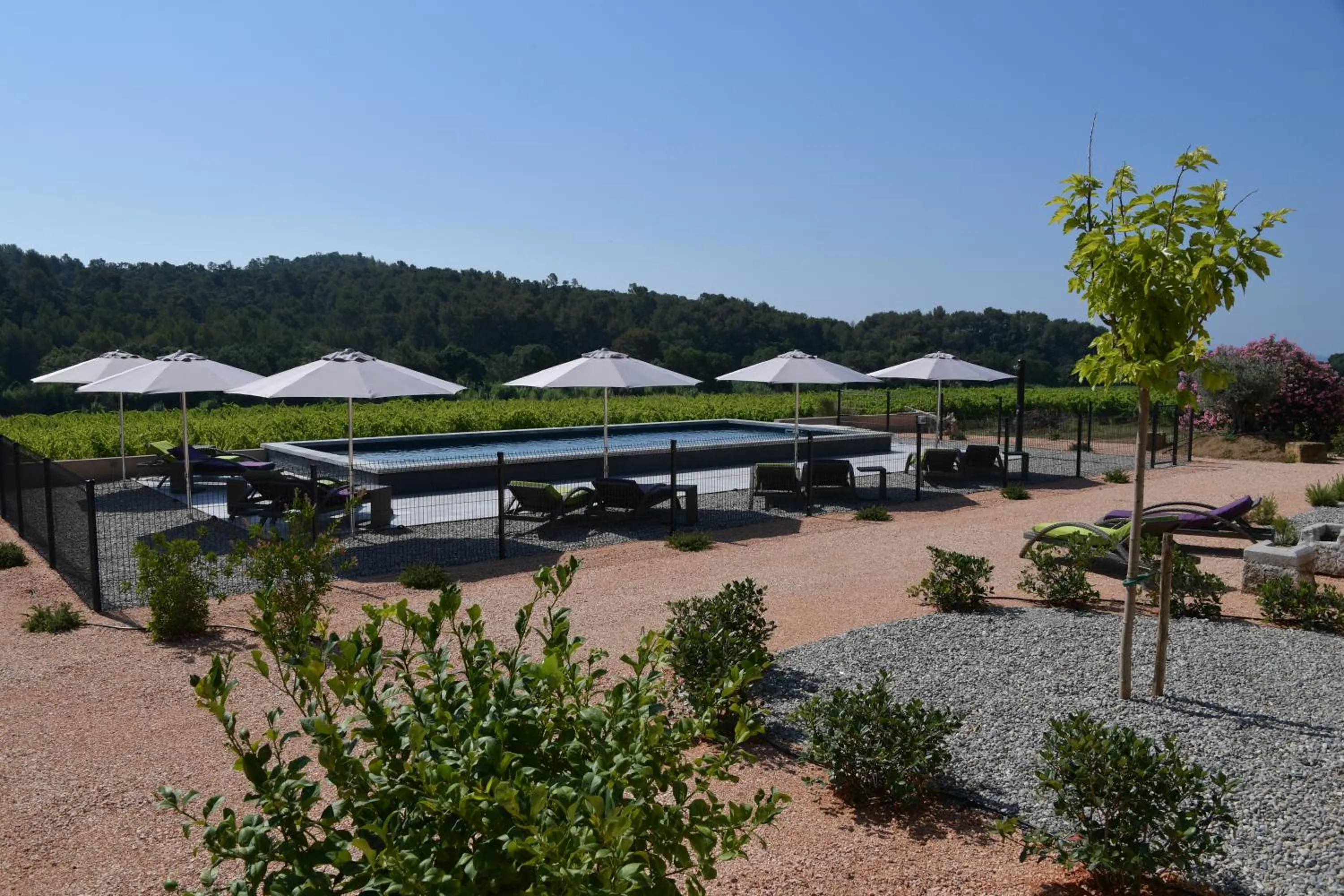 Garden in Sous Les Pins gîtes et chambres d'hôtes