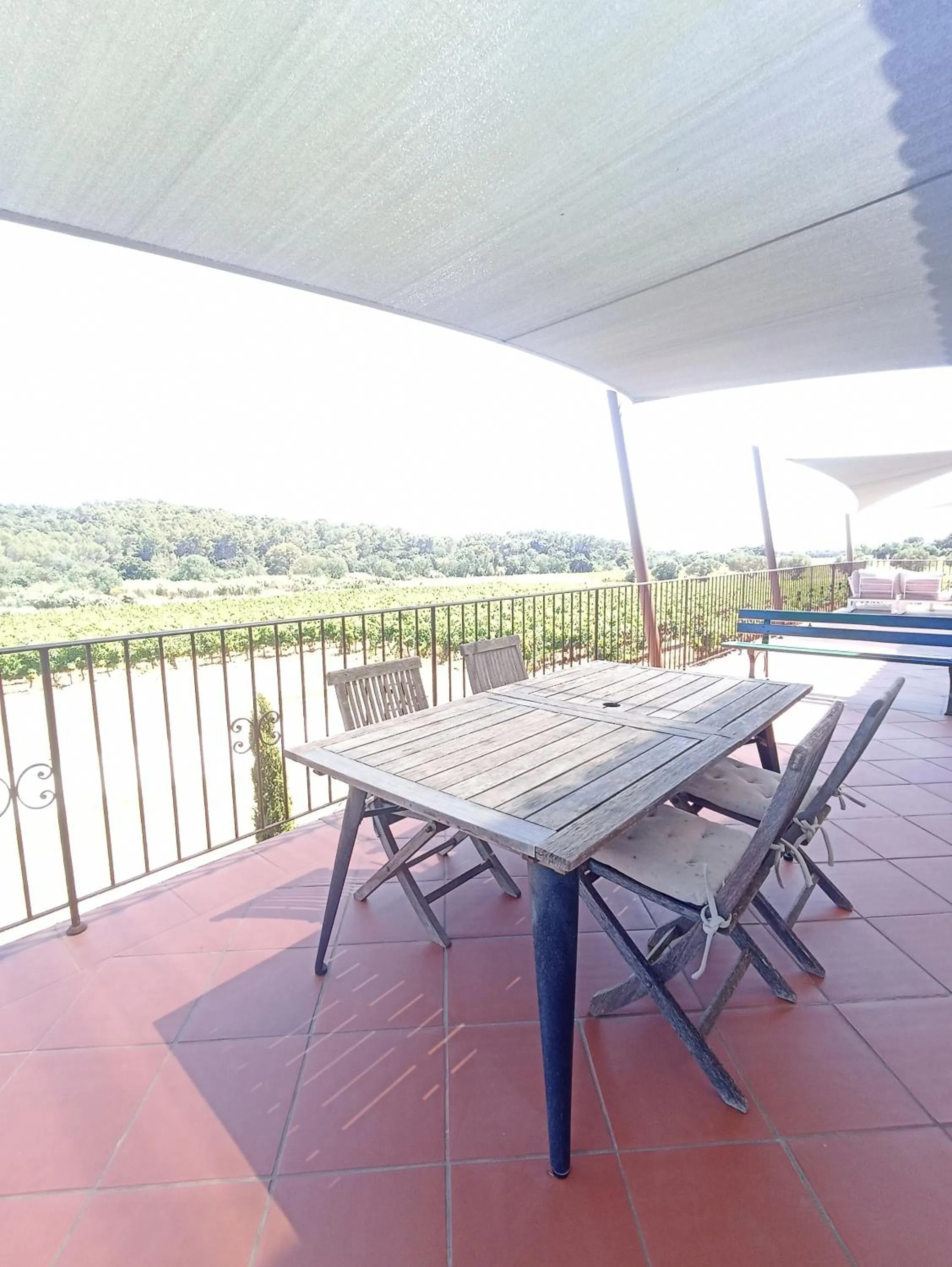 Balcony/Terrace in Sous Les Pins gîtes et chambres d'hôtes