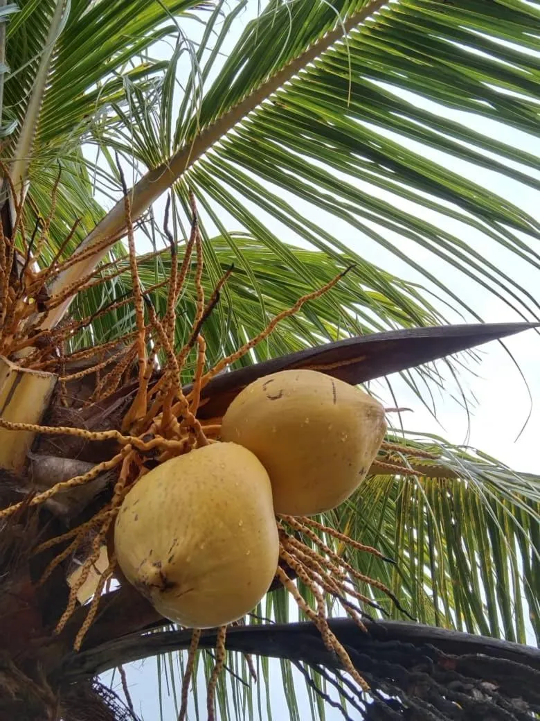 Other in Padimas Villa @Datai Valley