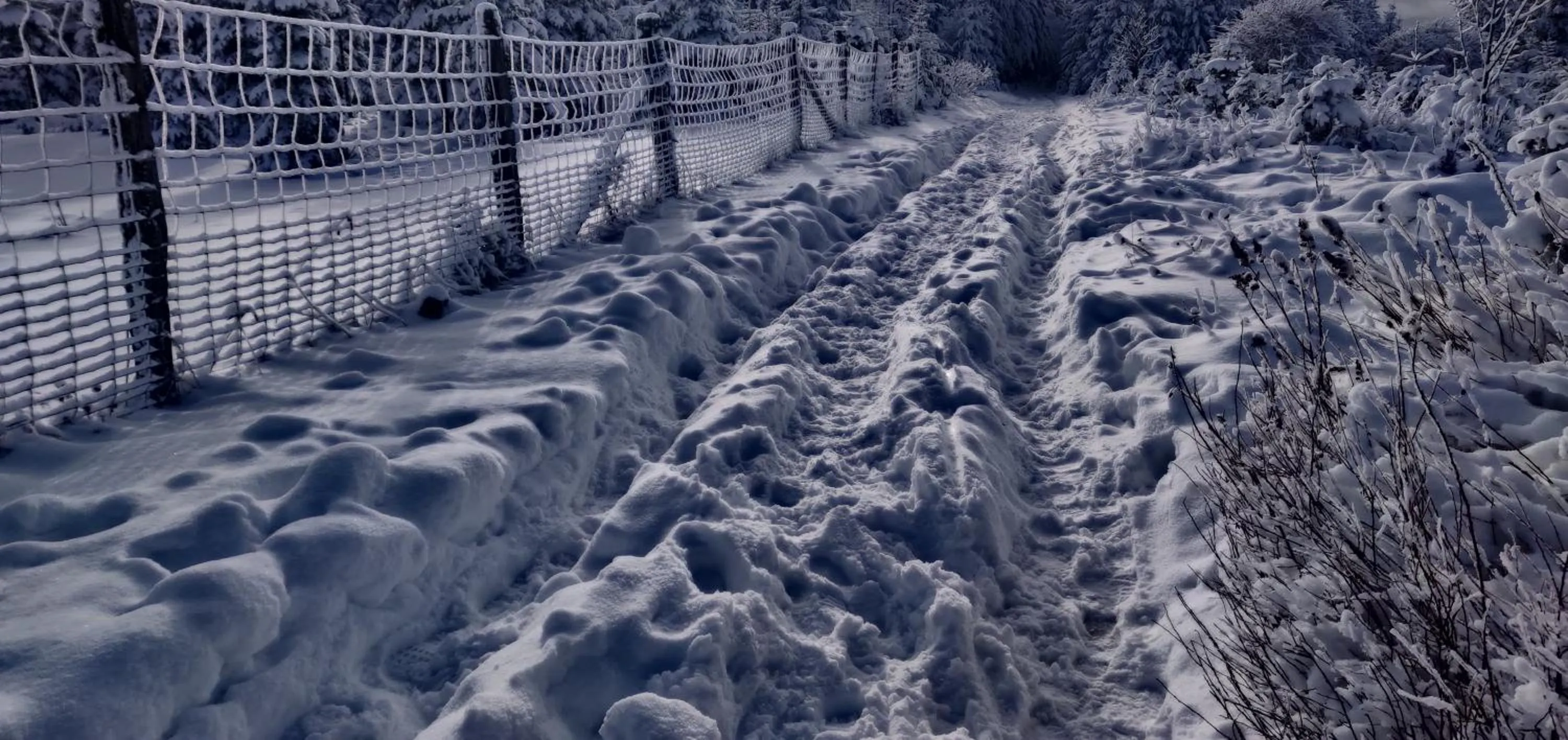 Winter in Gasthof Braun