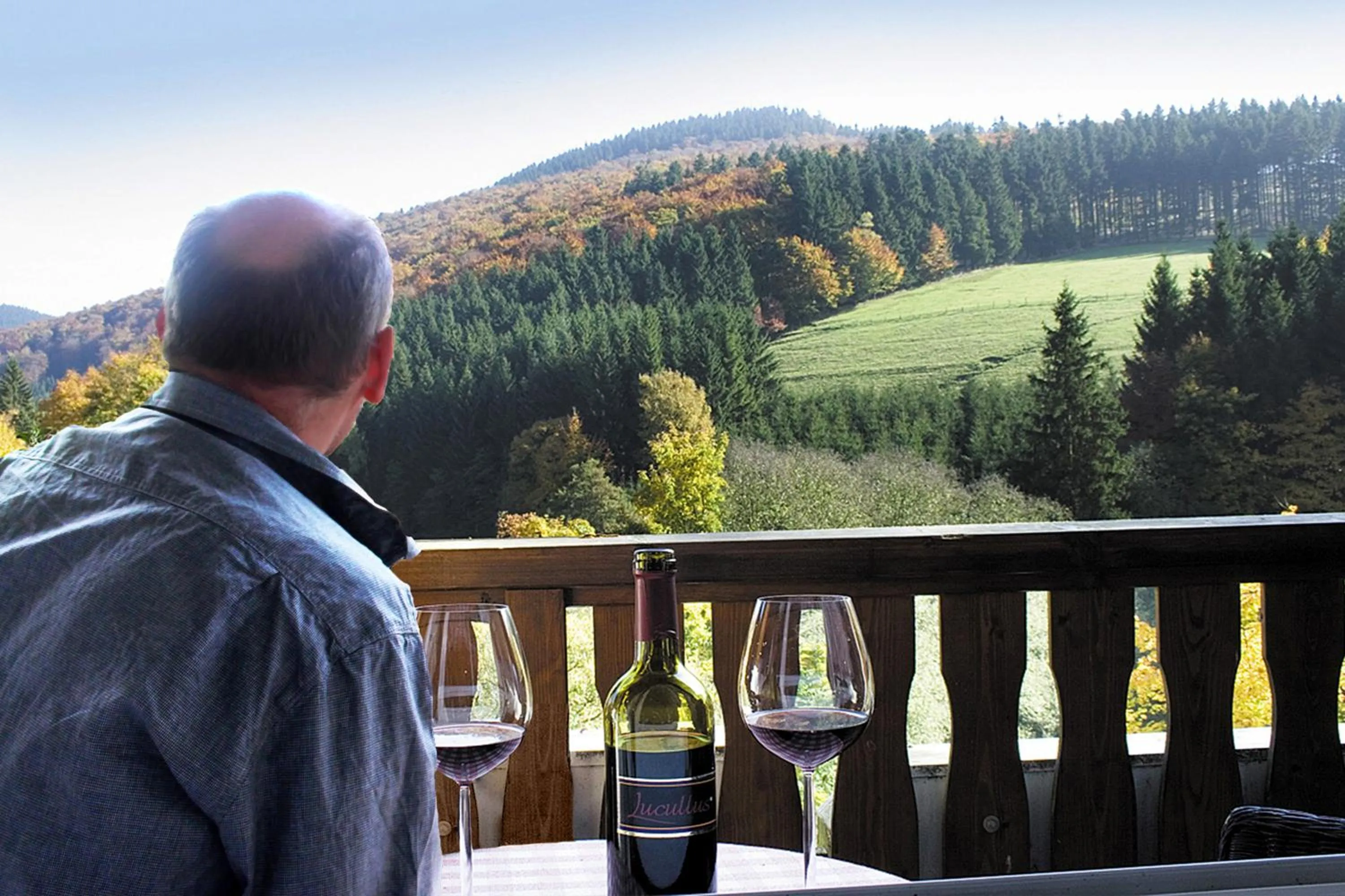 Balcony/Terrace in Gasthof Braun