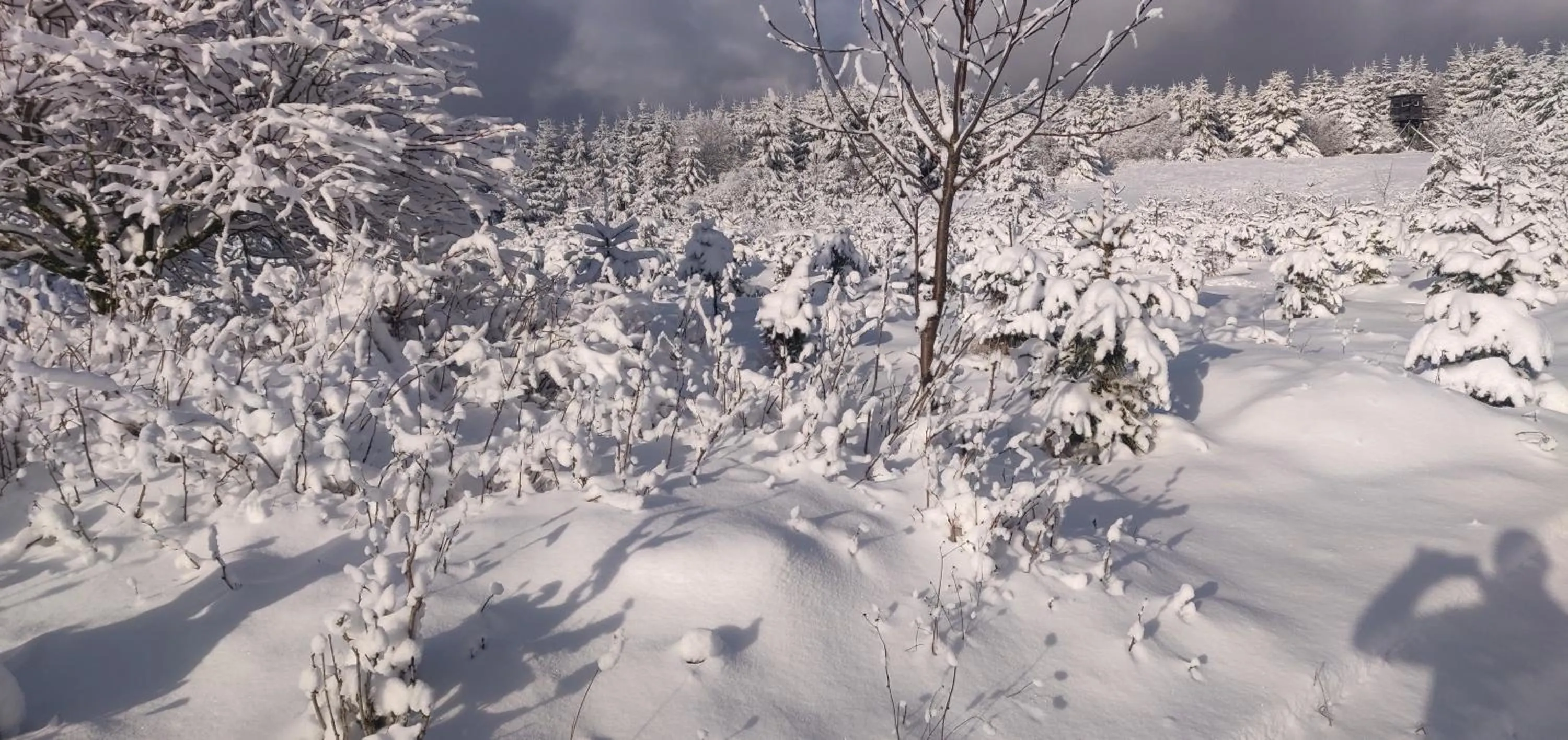 Natural landscape in Gasthof Braun