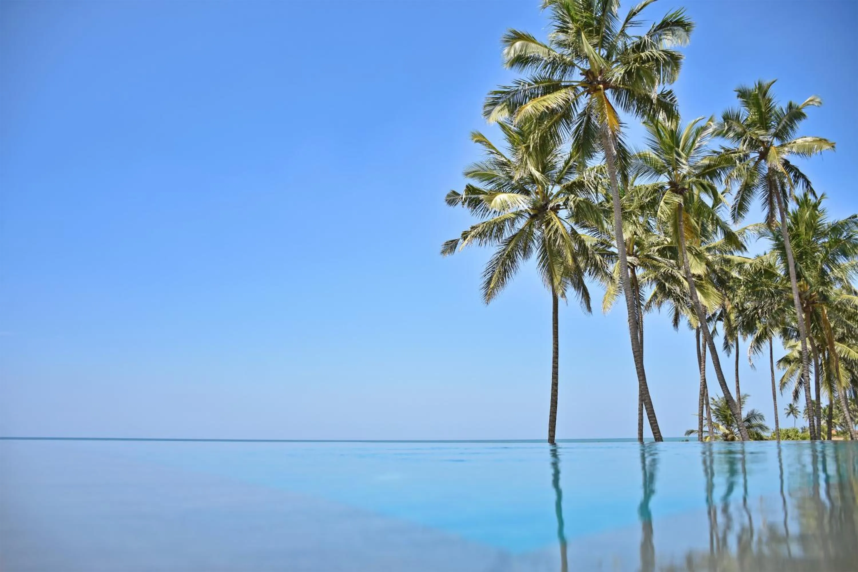 Swimming pool in Wattura Resort & Spa