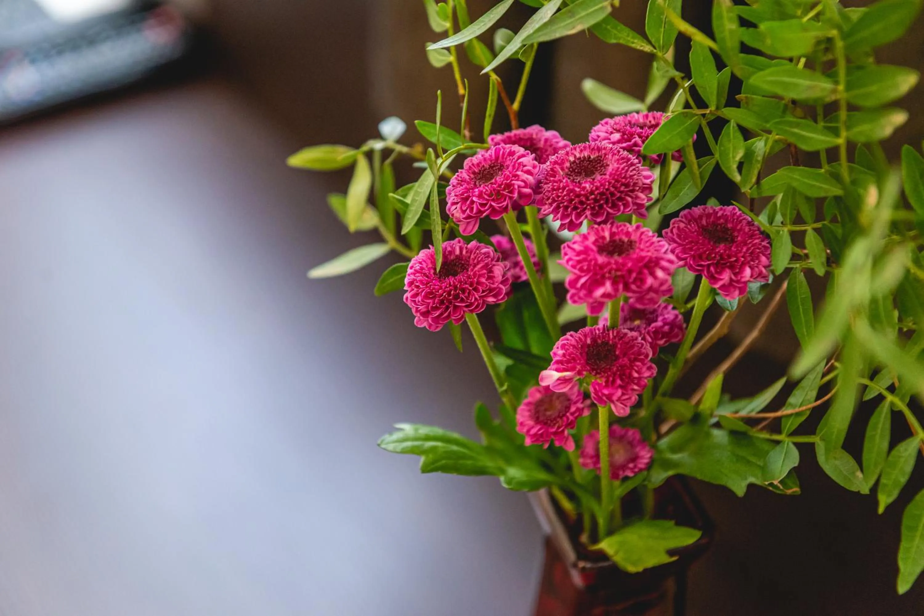 Decorative detail in Casino & Hotel ADMIRAL Ptuj