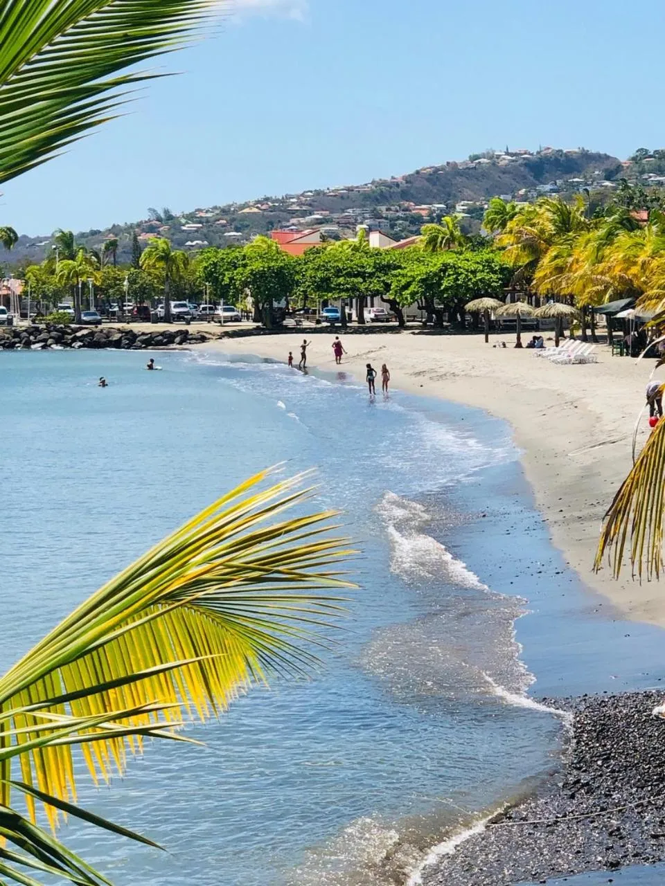 Property building in Hotel Pelican