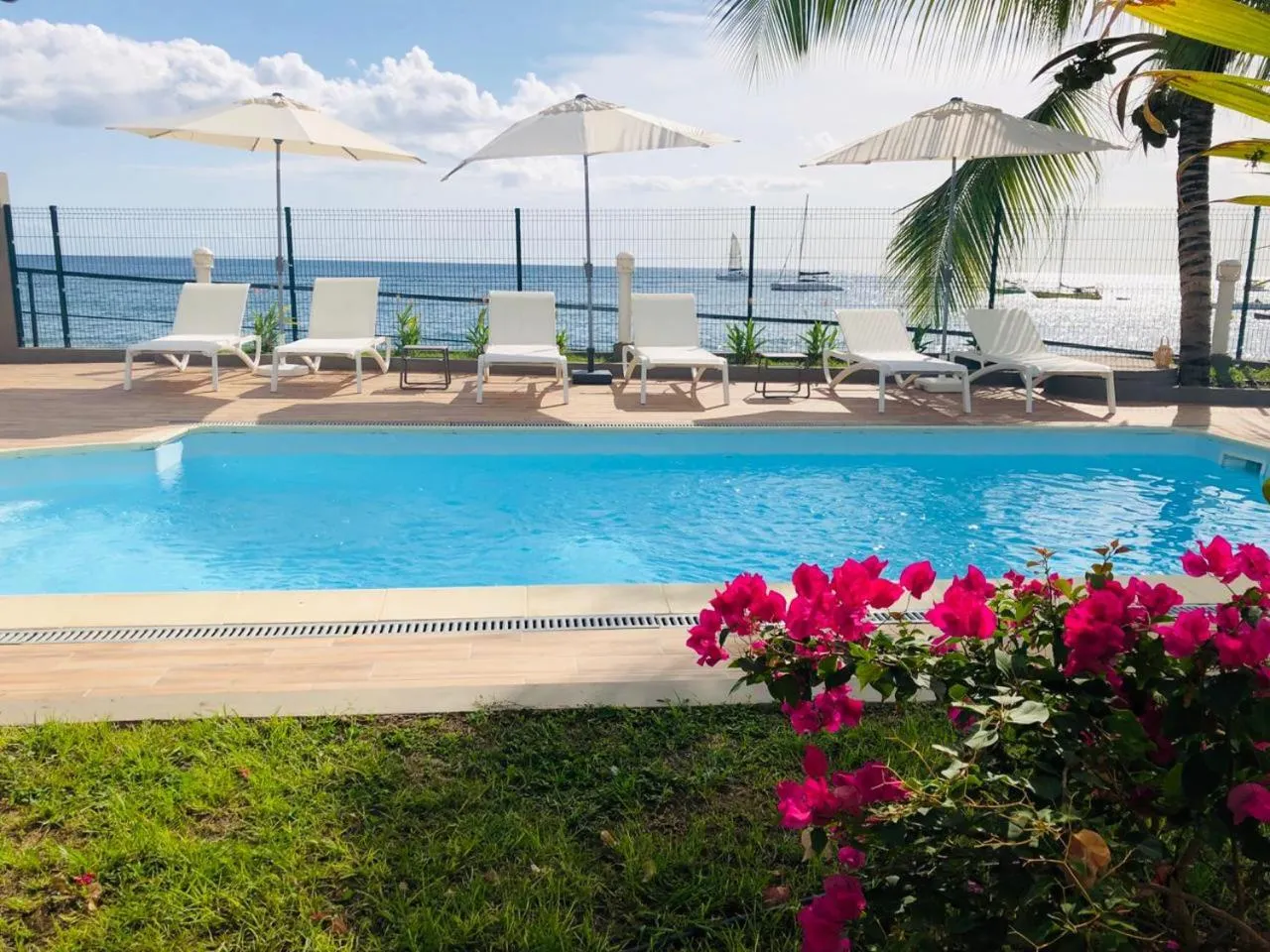 Swimming pool in Hotel Pelican