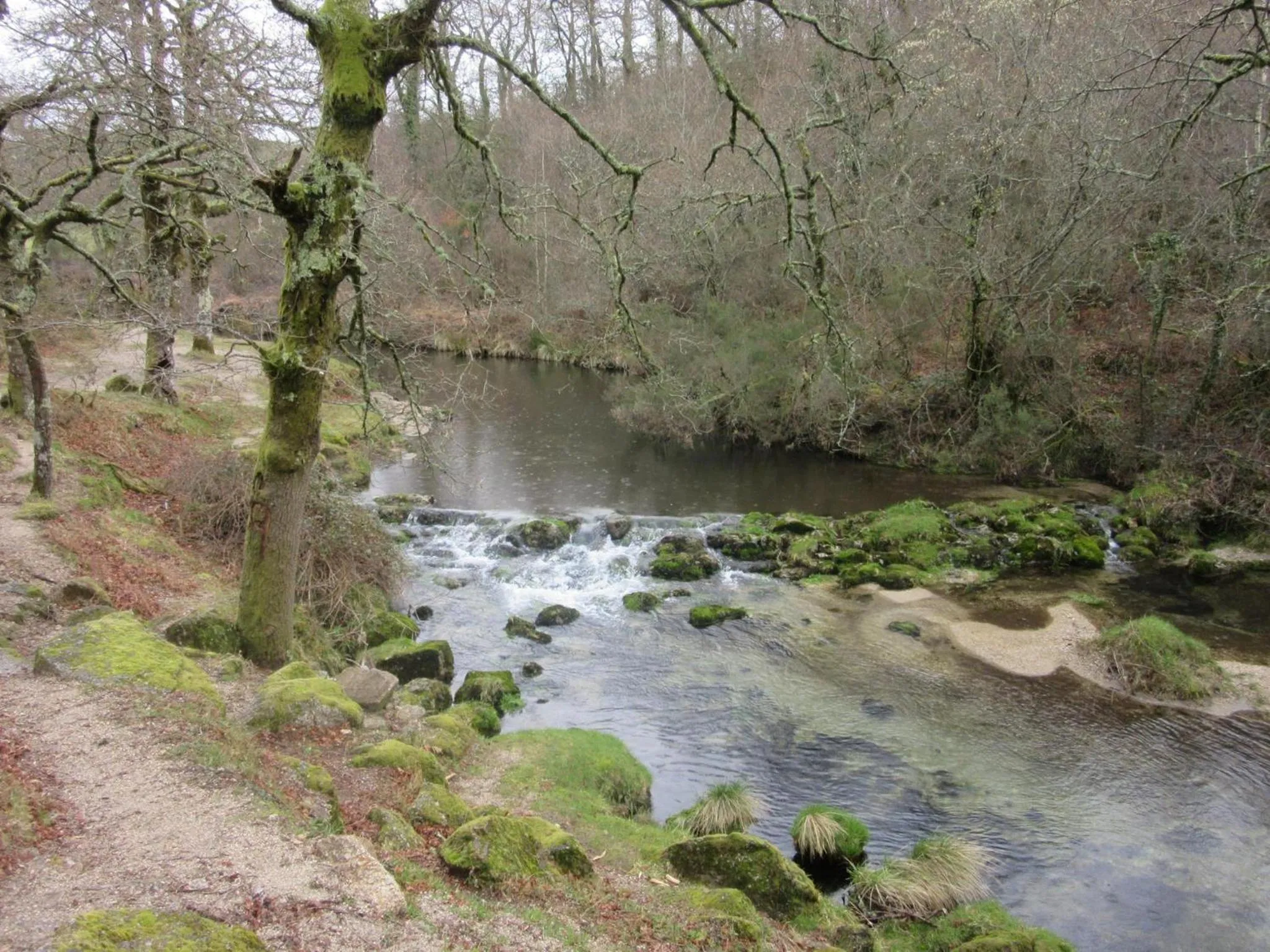 Natural landscape in Adelaide Hotel