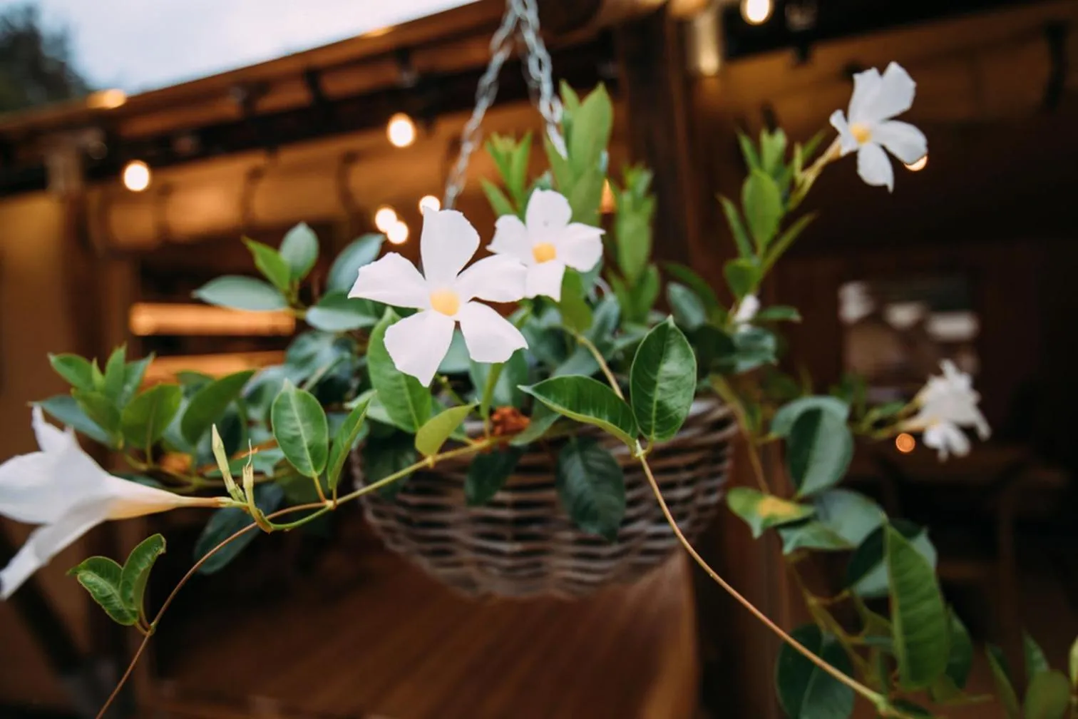Decorative detail in Glamping Can Bora Lodges