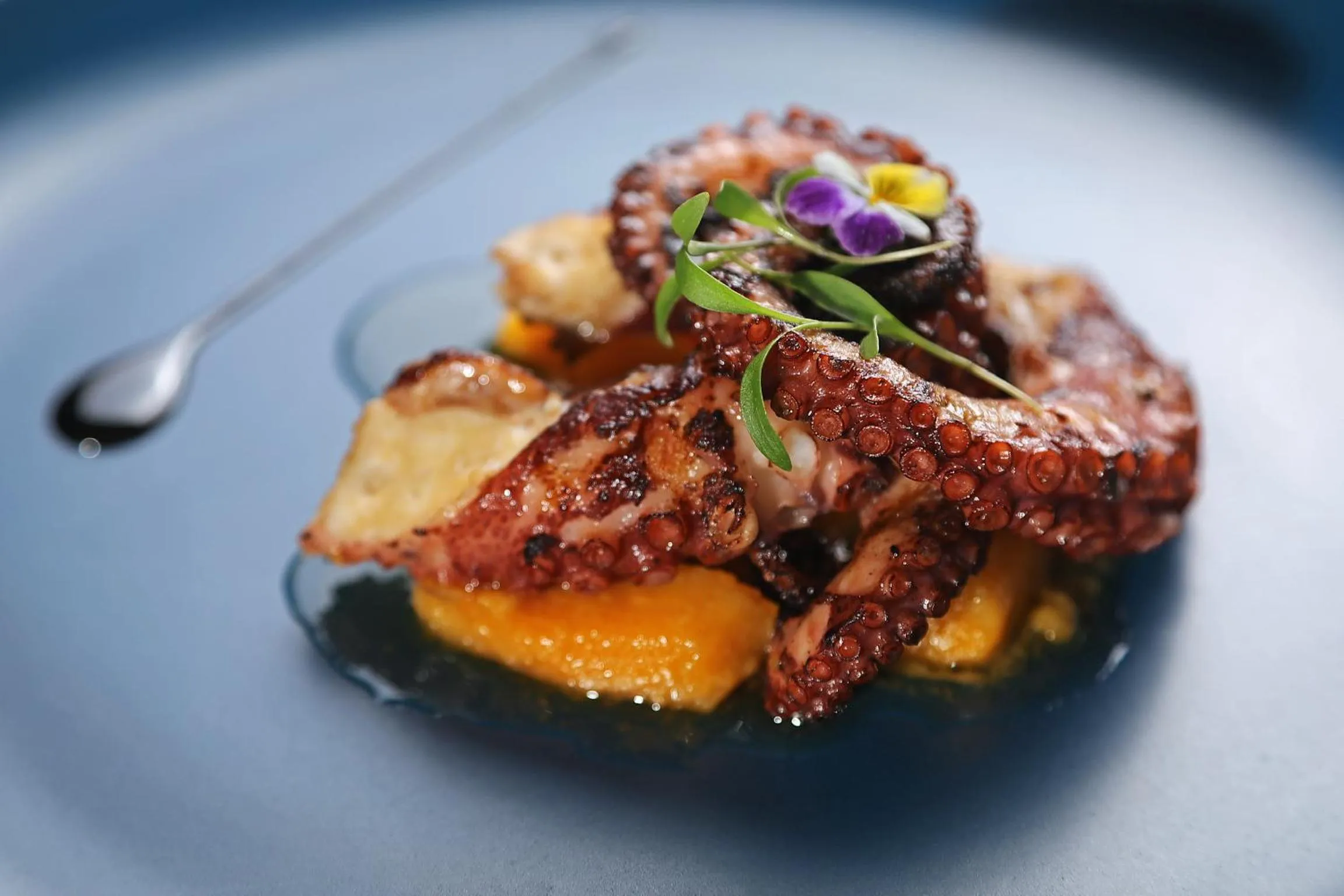 Food and drinks in OPacifico Hotel Boutique