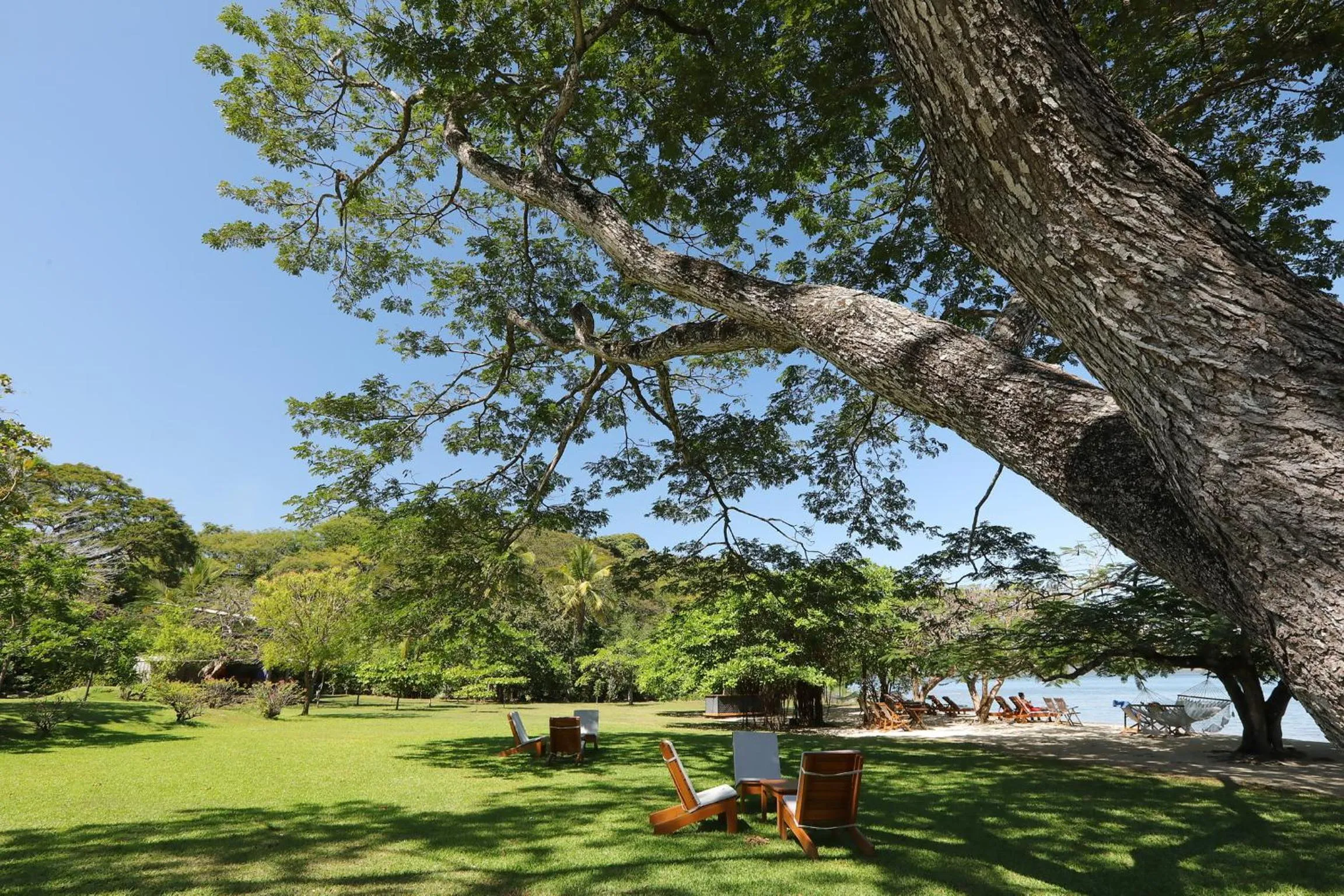 Garden in OPacifico Hotel Boutique