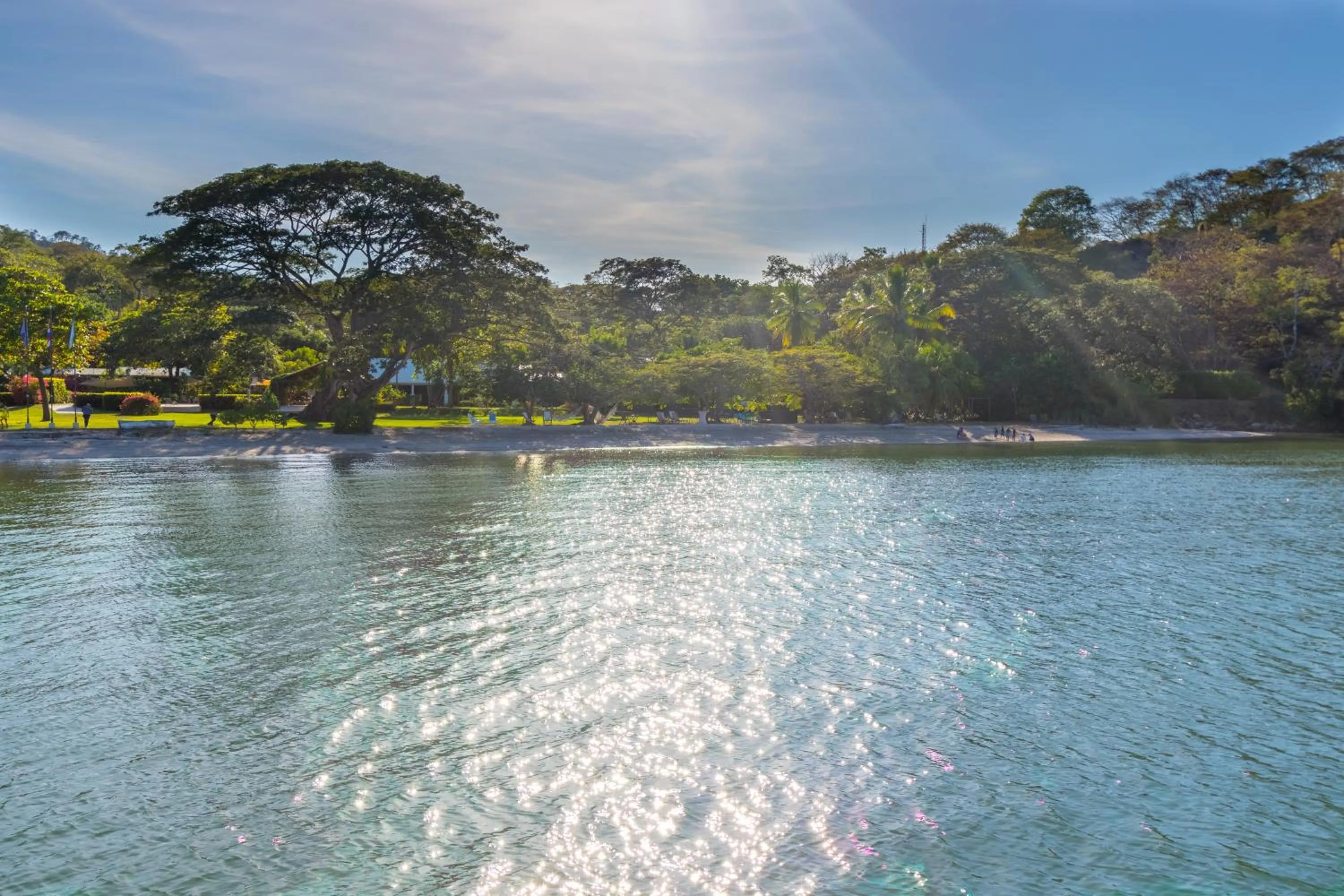 Beach in OPacifico Hotel Boutique