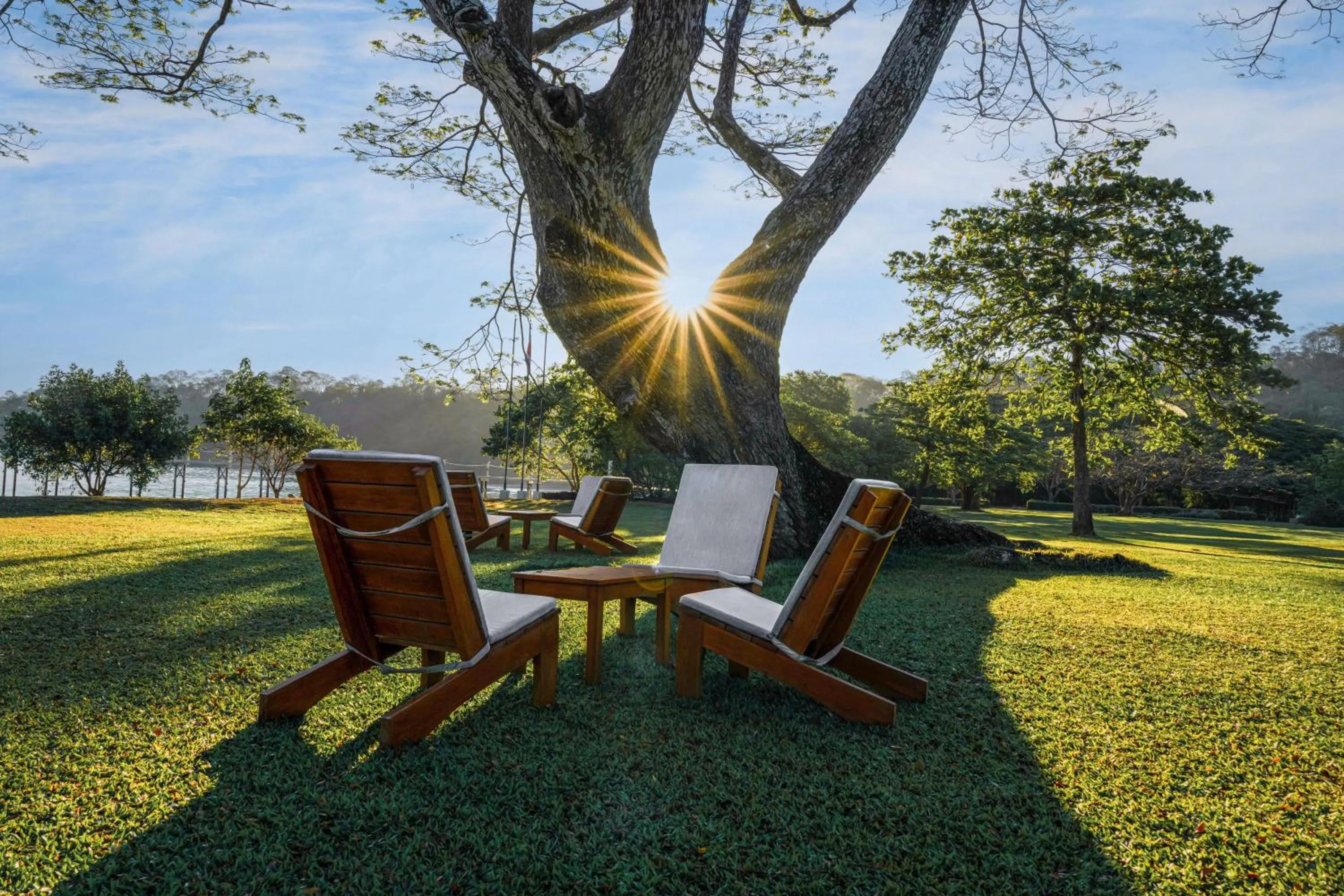 Spring in OPacifico Hotel Boutique